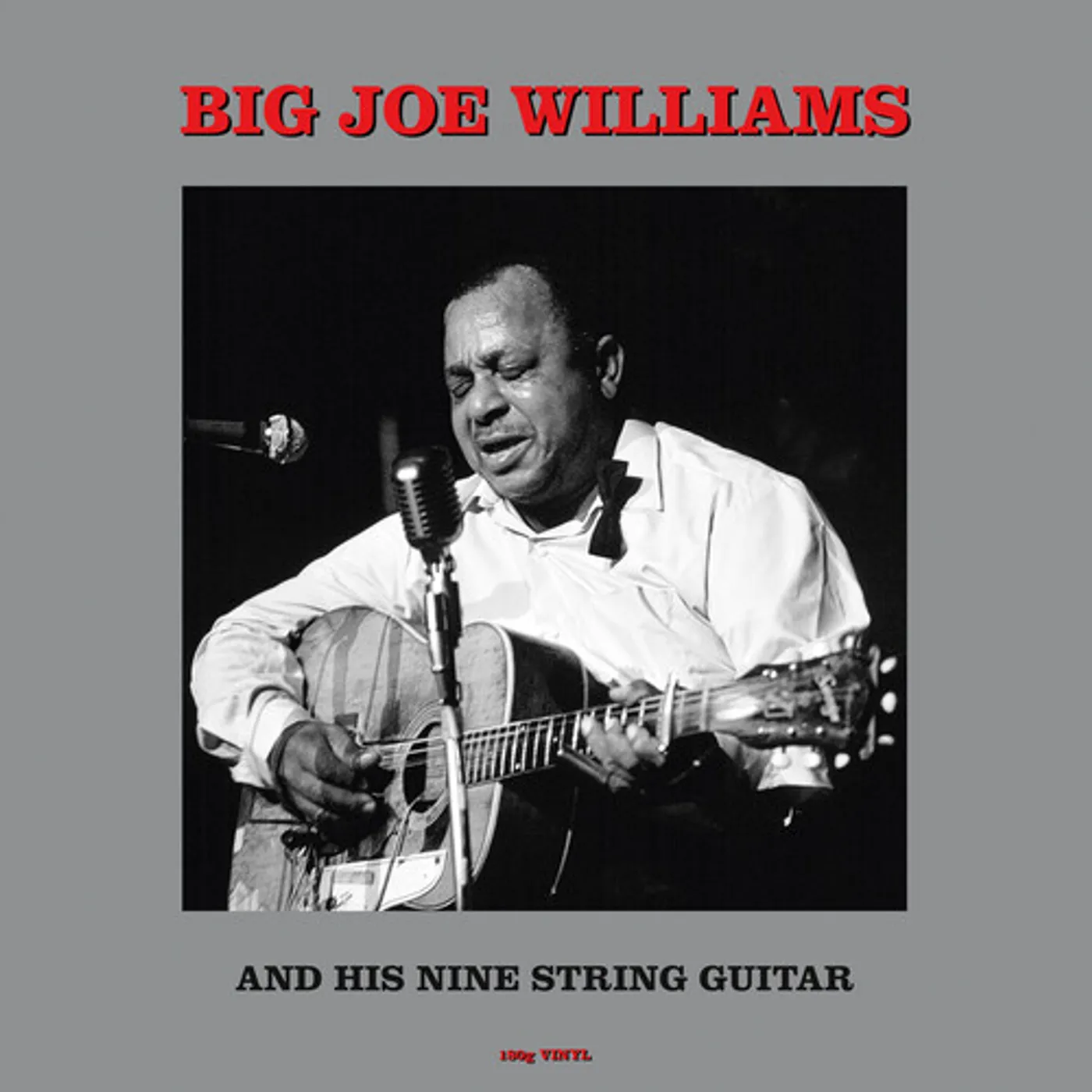 Big Joe Williams & His Nine String Guitar Vinyl Record