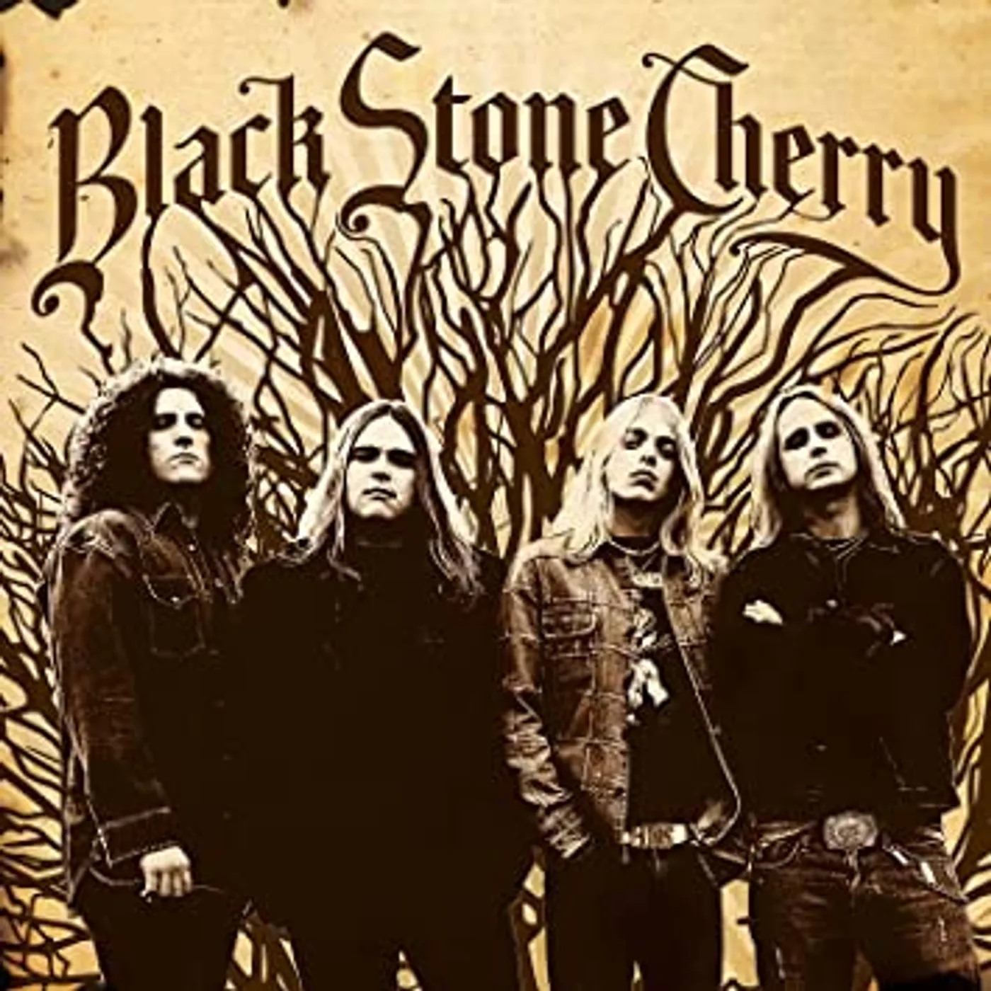 Black Stone Cherry Vinyl Record
