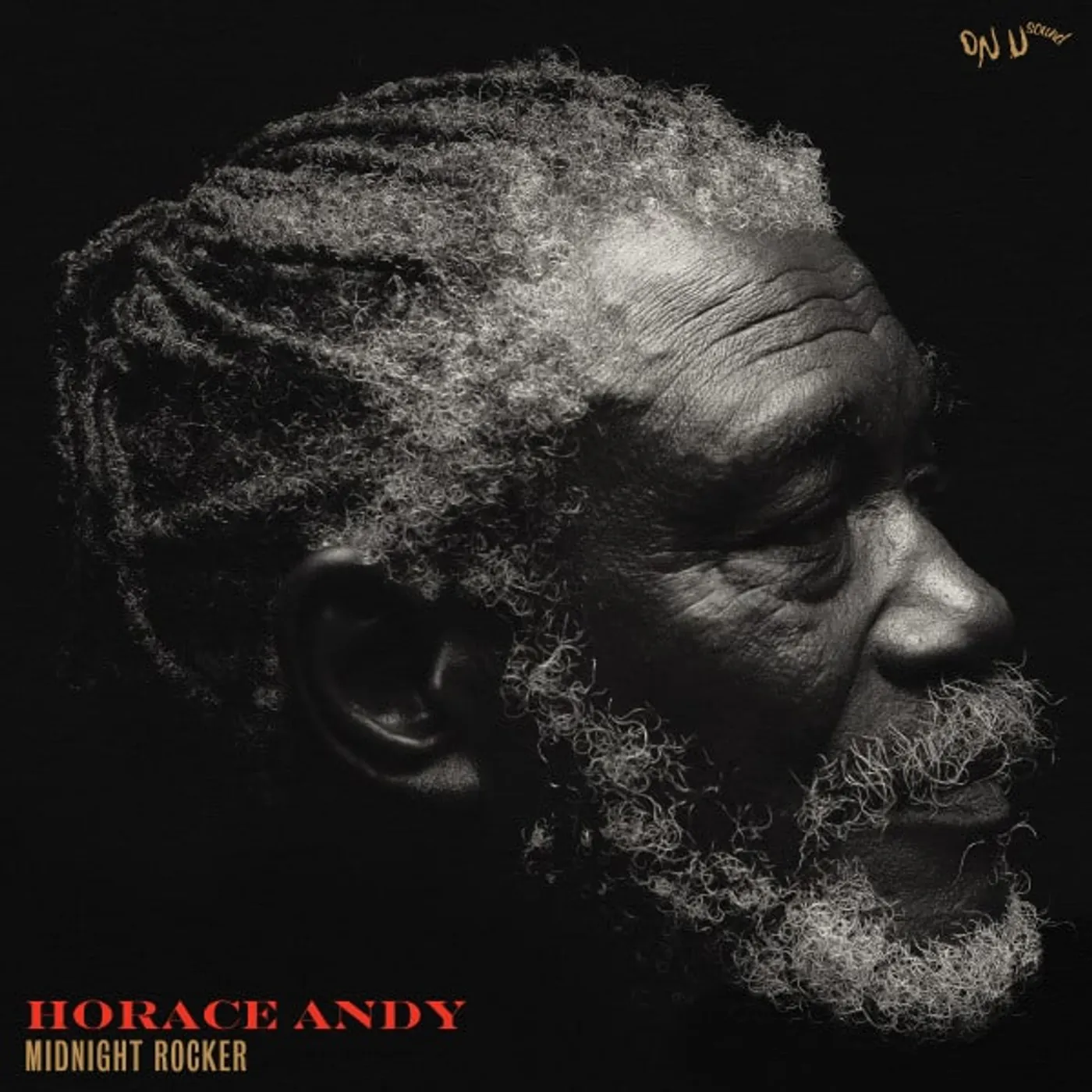 Horace Andy Midnight Rocker Vinyl Record