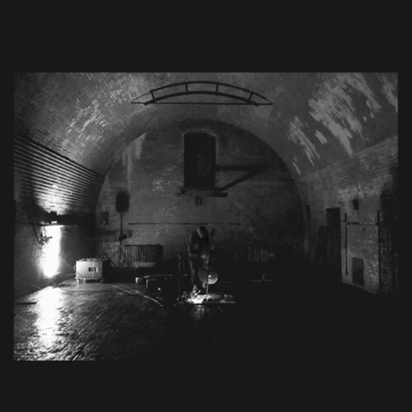 Svarte Greiner DEVOLVING TRUST CD