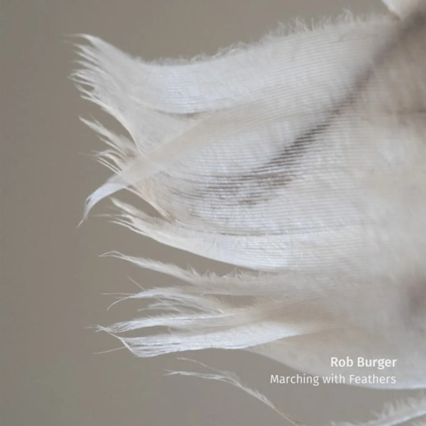 Rob Burger Marching with Feathers Vinyl Record
