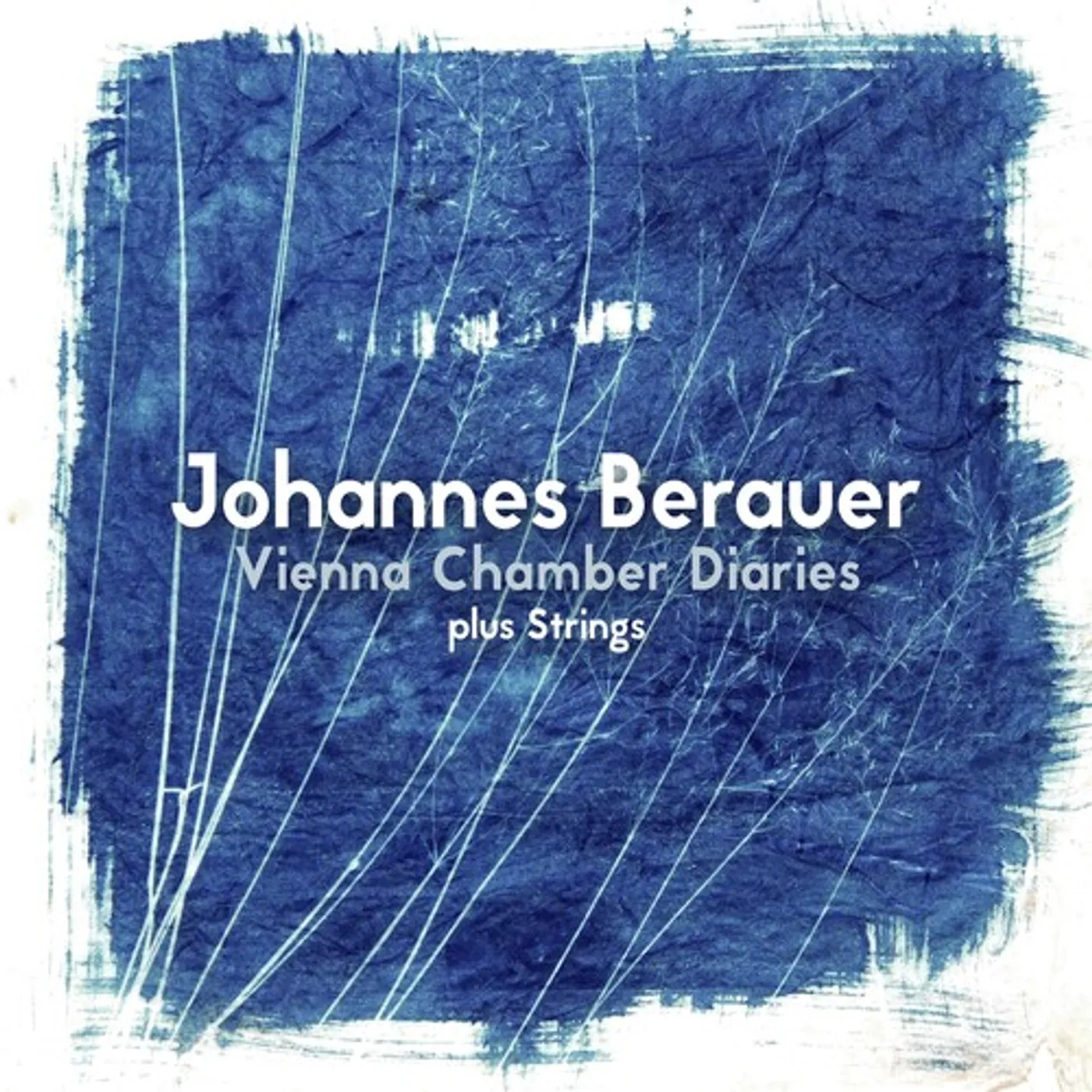 Johannes Berauer VIENNA CHAMBER DIARIES PLUS STRINGS CD
