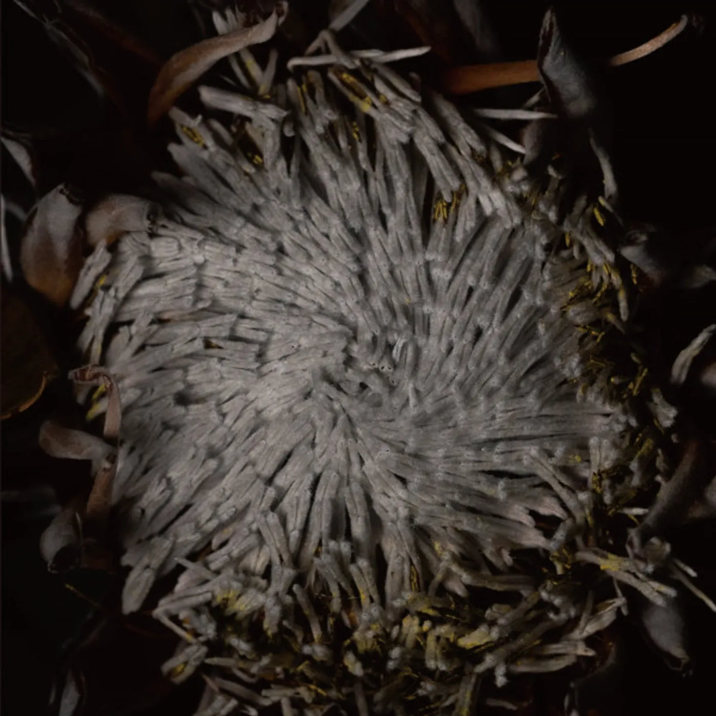 Ryo Murakami TIERS Vinyl Record