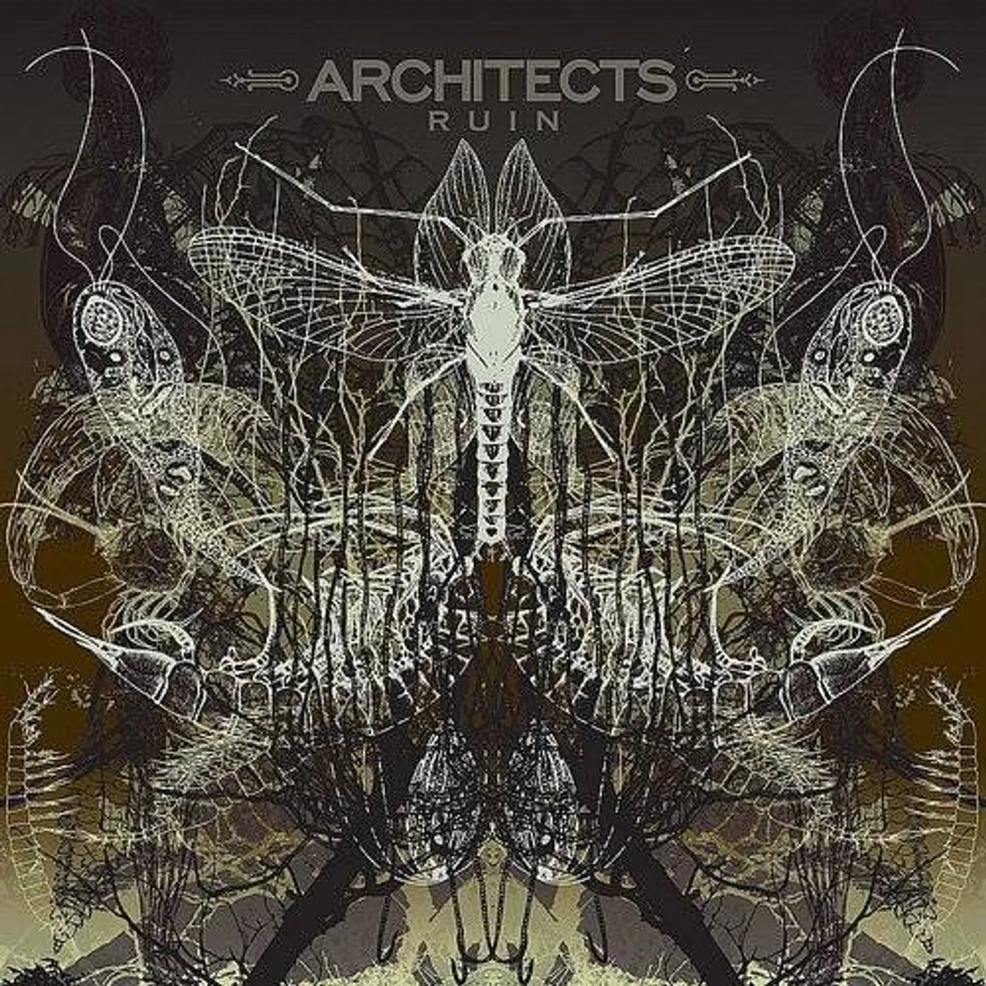 Architects Ruin Vinyl Record