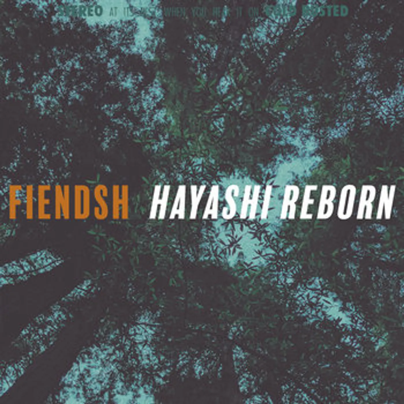 Fiendsh Hayashi Reborn Vinyl Record