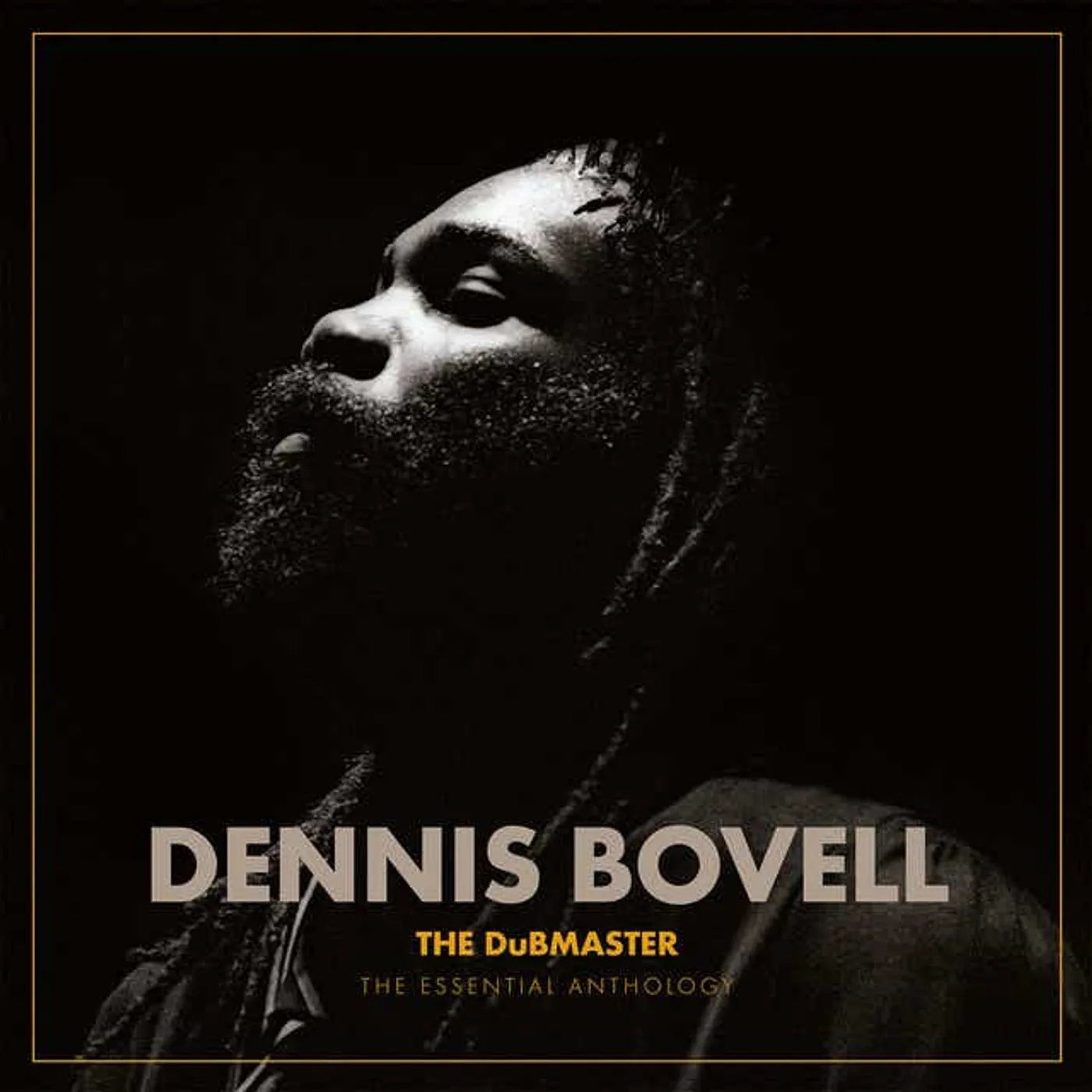 Dennis Bovell DUBMASTER: THE ESSENTIAL ANTHOLOGY (2LP) Vinyl Record