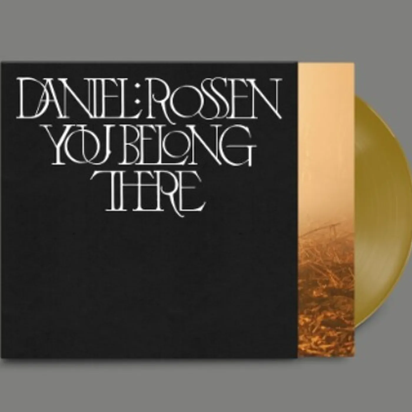 Daniel Rossen You Belong There Vinyl Record
