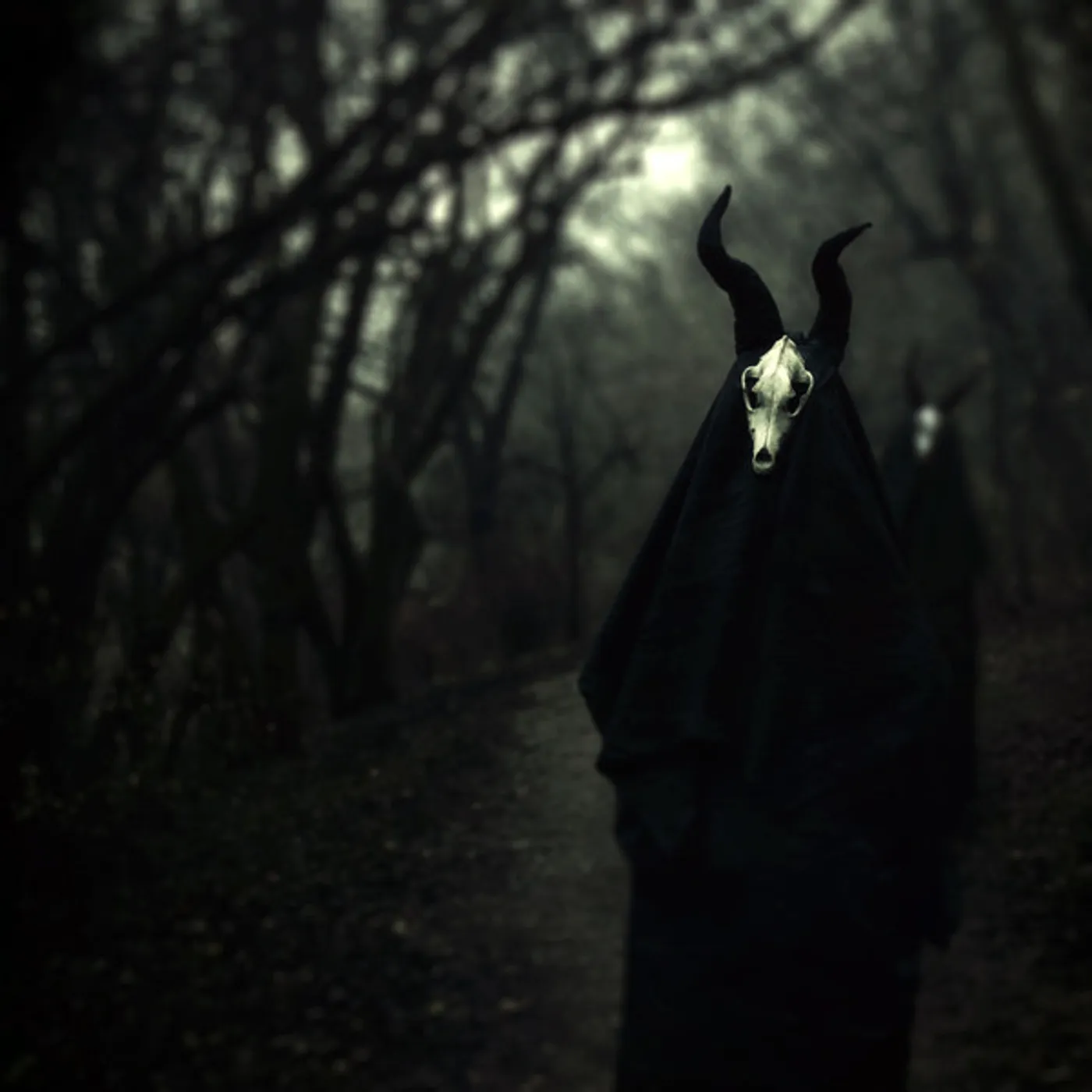 White Ward Futility Report Vinyl Record