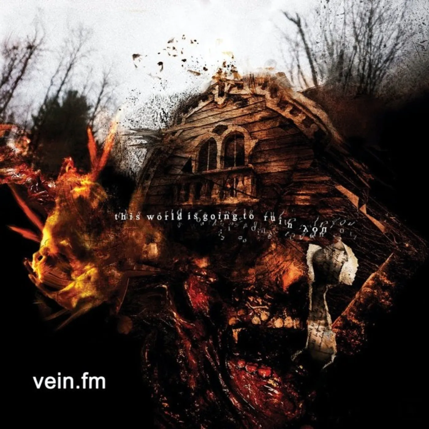 Vein.fm This World Is Going To Ruin You CD