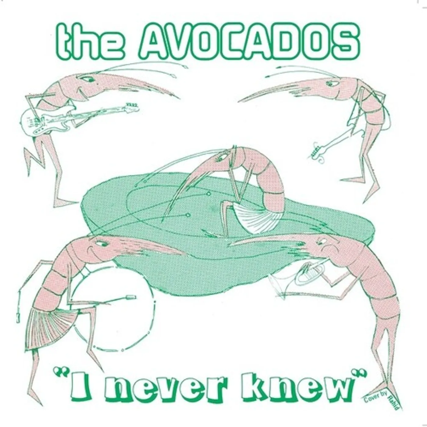 The Avocados I NEVER KNEW Vinyl Record