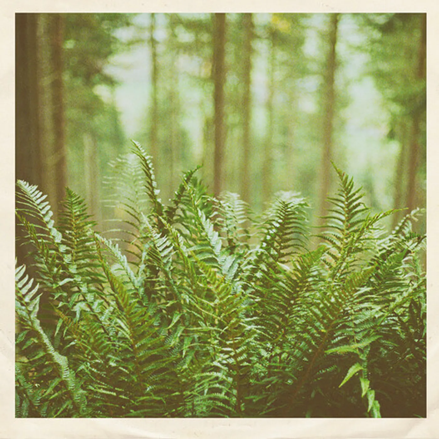 Mtbrd Just Visiting Vinyl Record