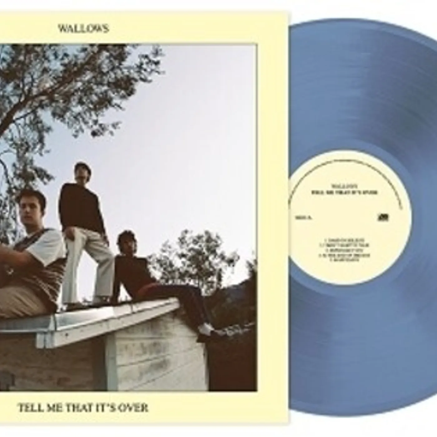 Wallows Tell Me That It's Over Vinyl Record