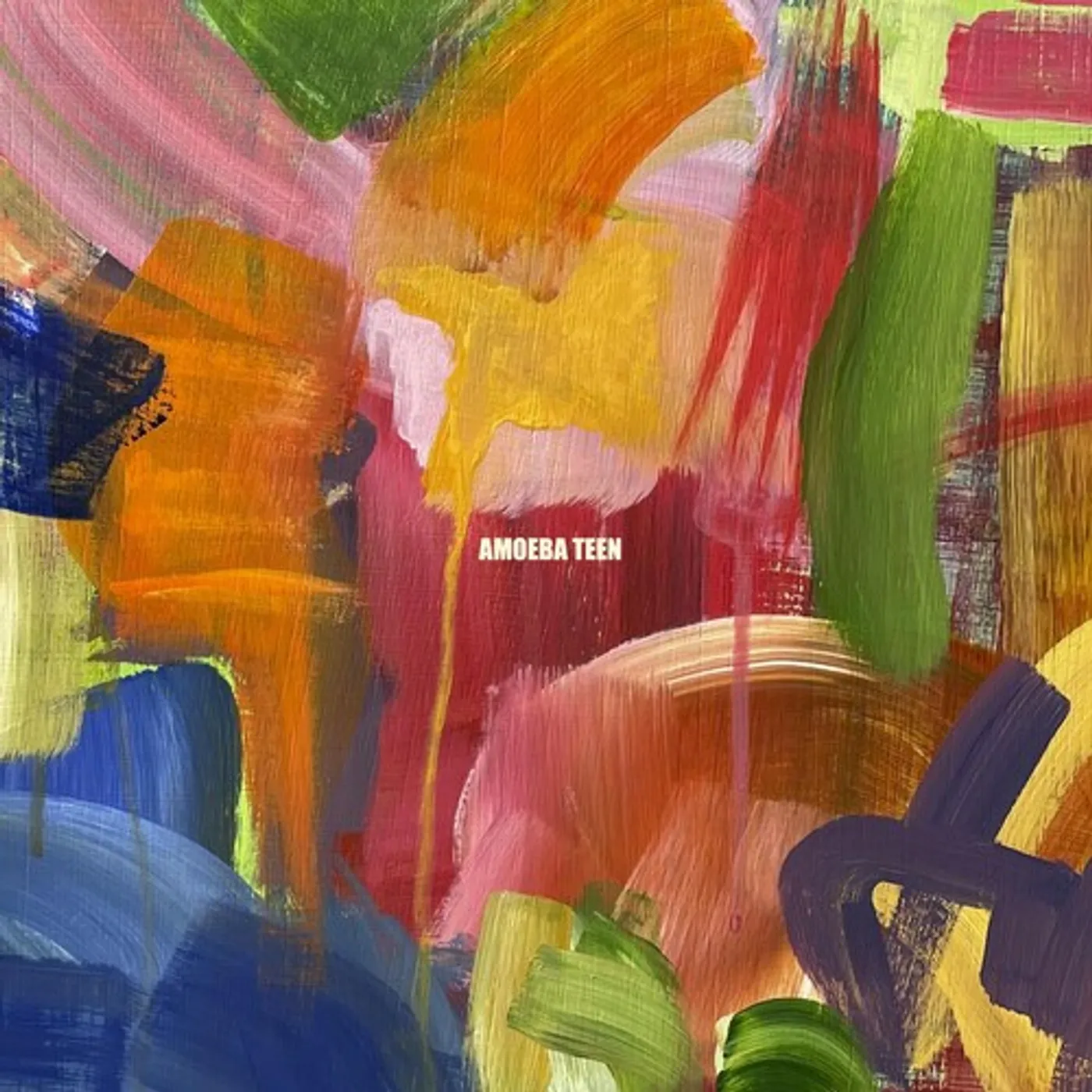 AMOEBA TEEN CD