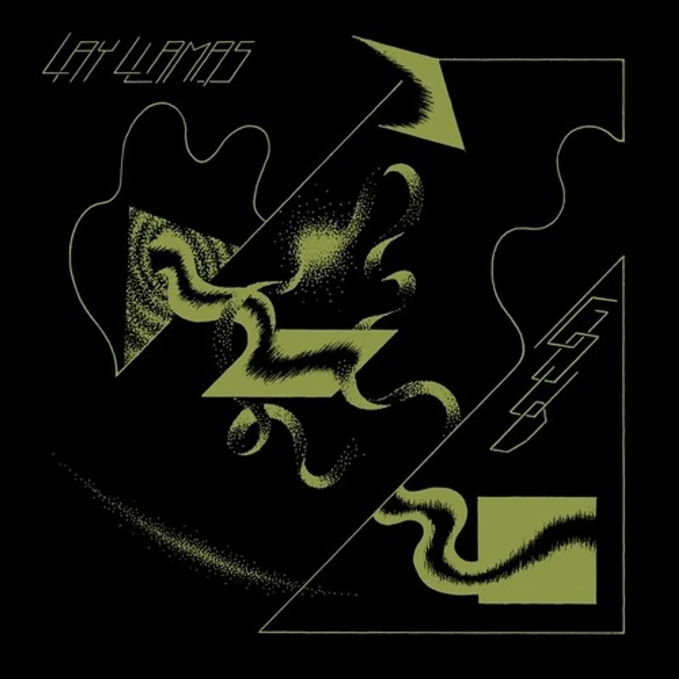 The Lay Llamas GOUD Vinyl Record