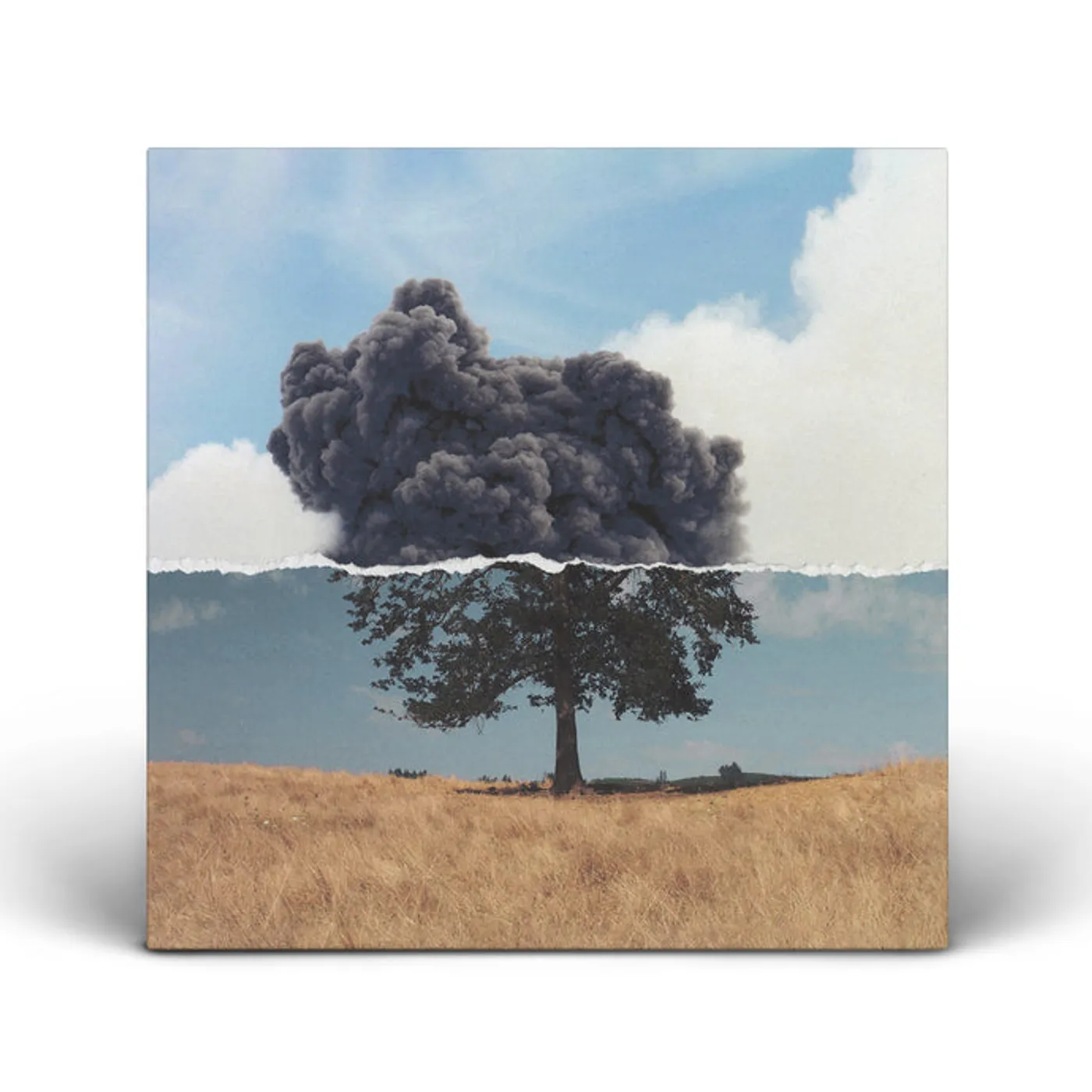 Wilkinson COGNITION Vinyl Record