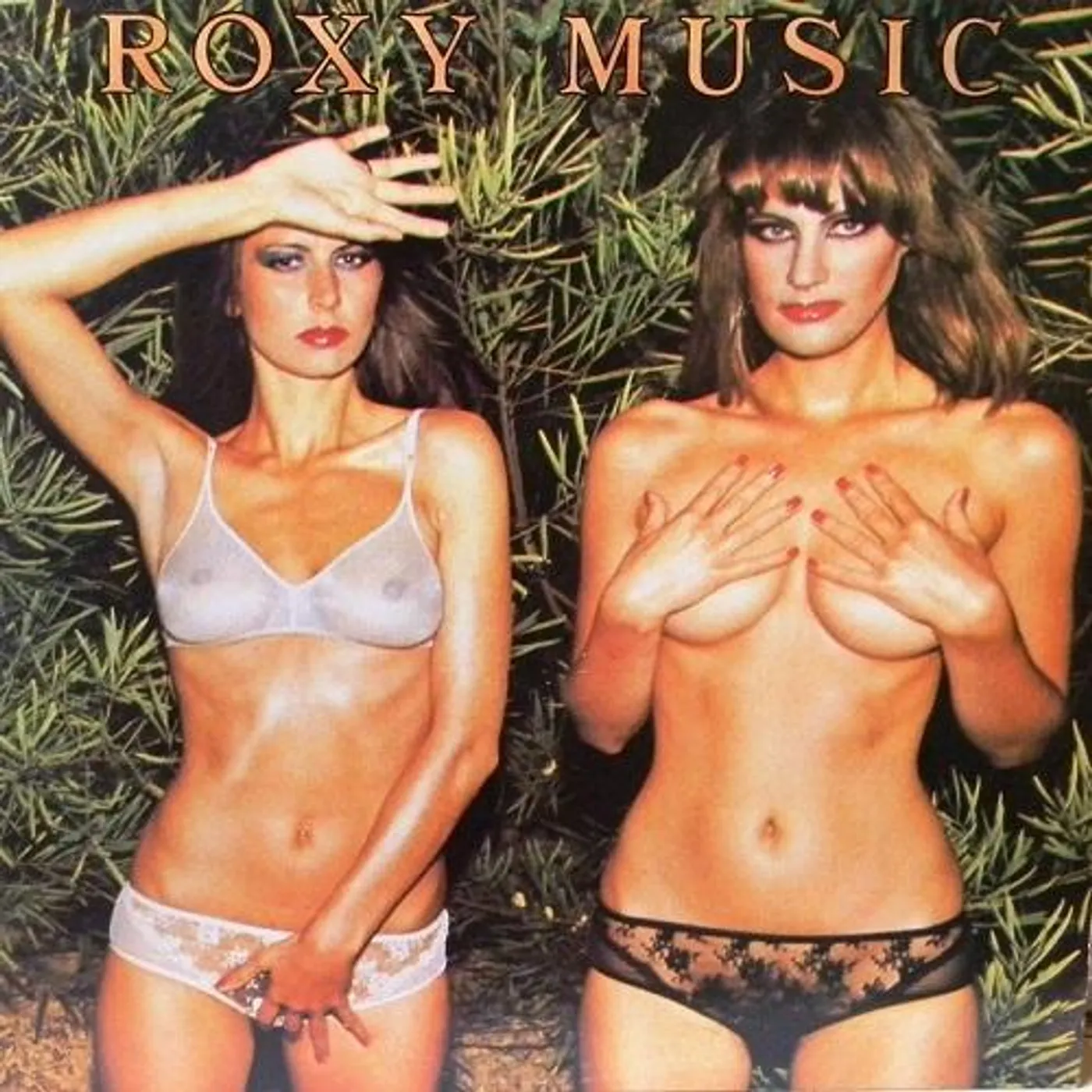 Roxy Music Country Life Vinyl Record
