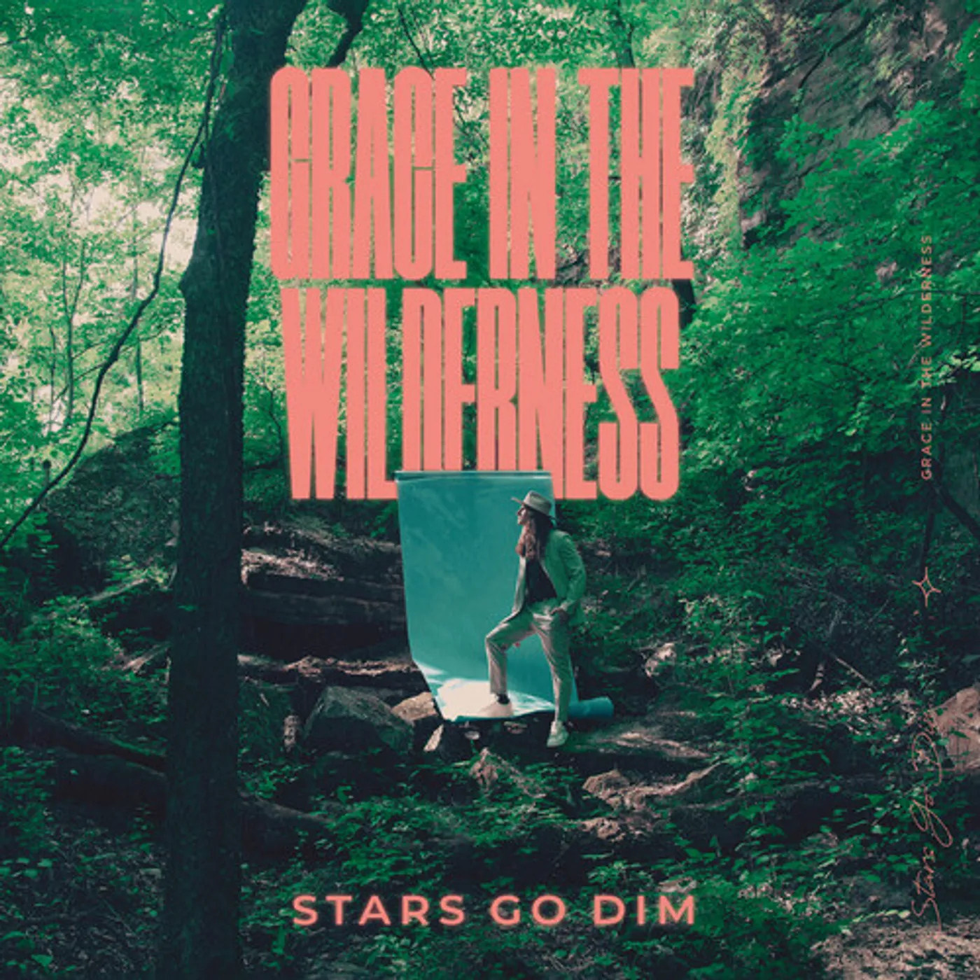 Stars Go Dim GRACE IN THE WILDERNESS CD