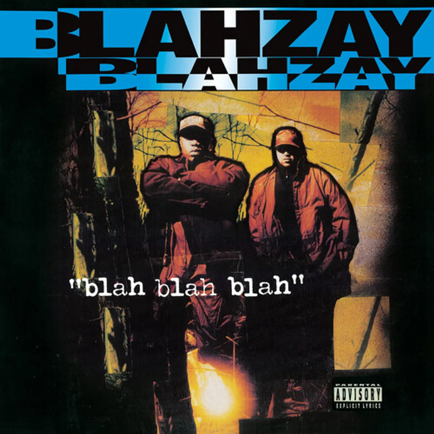 Blahzay Blahzay Blah Blah Blah Vinyl Record
