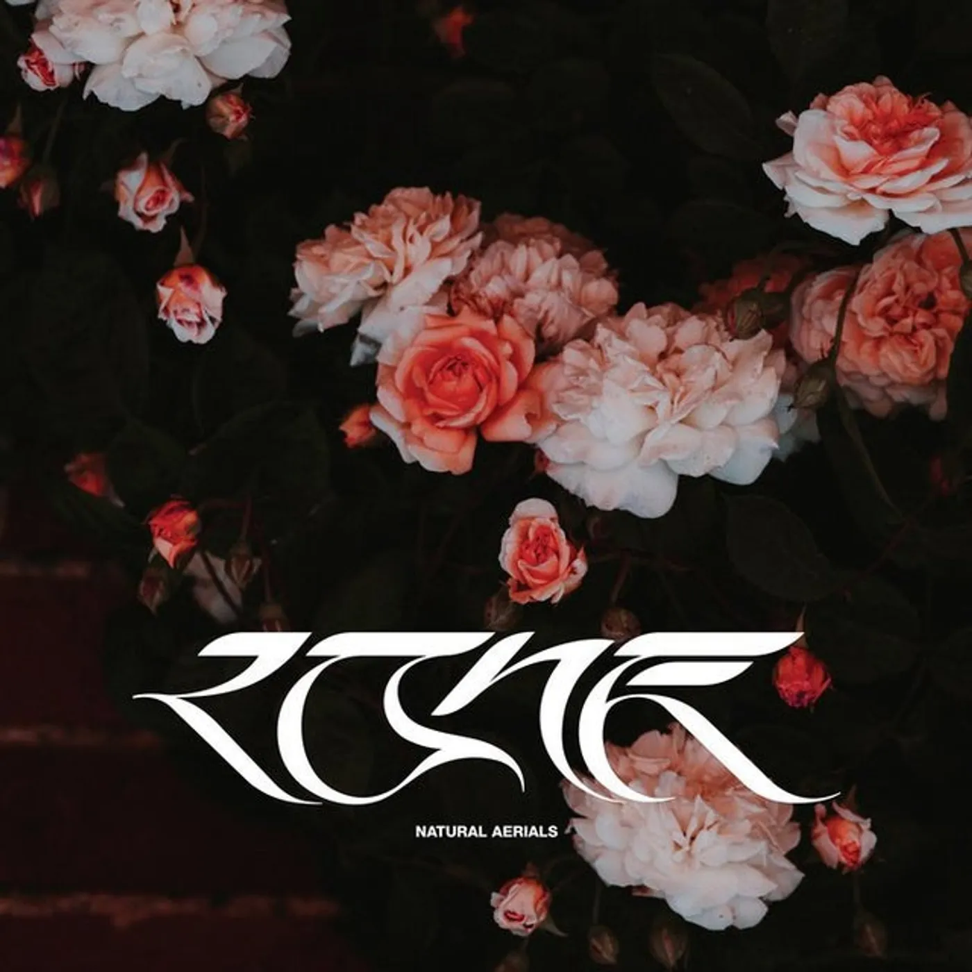 Lone Natural Aerials Vinyl Record