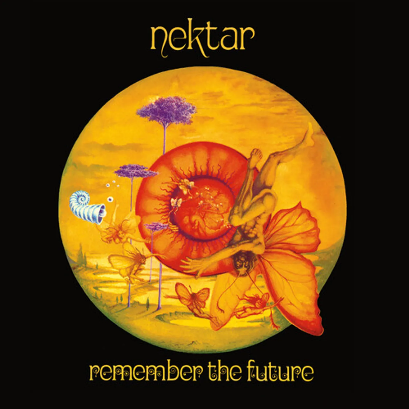 Nektar REMEMBER THE FUTURE (PICTURE DISC) Vinyl Record