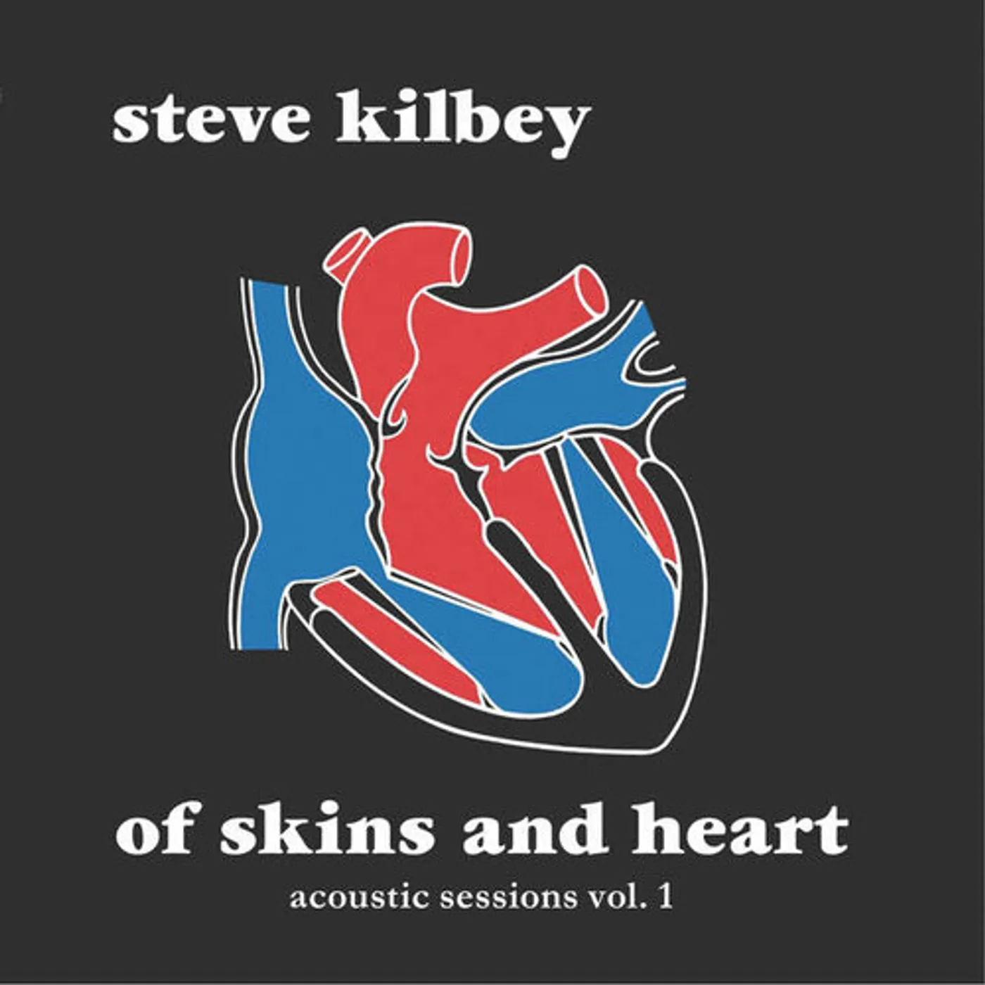 Steve Kilbey OF SKINS & HEART: ACOUSTIC SESSIONS VOL 1 Vinyl Record