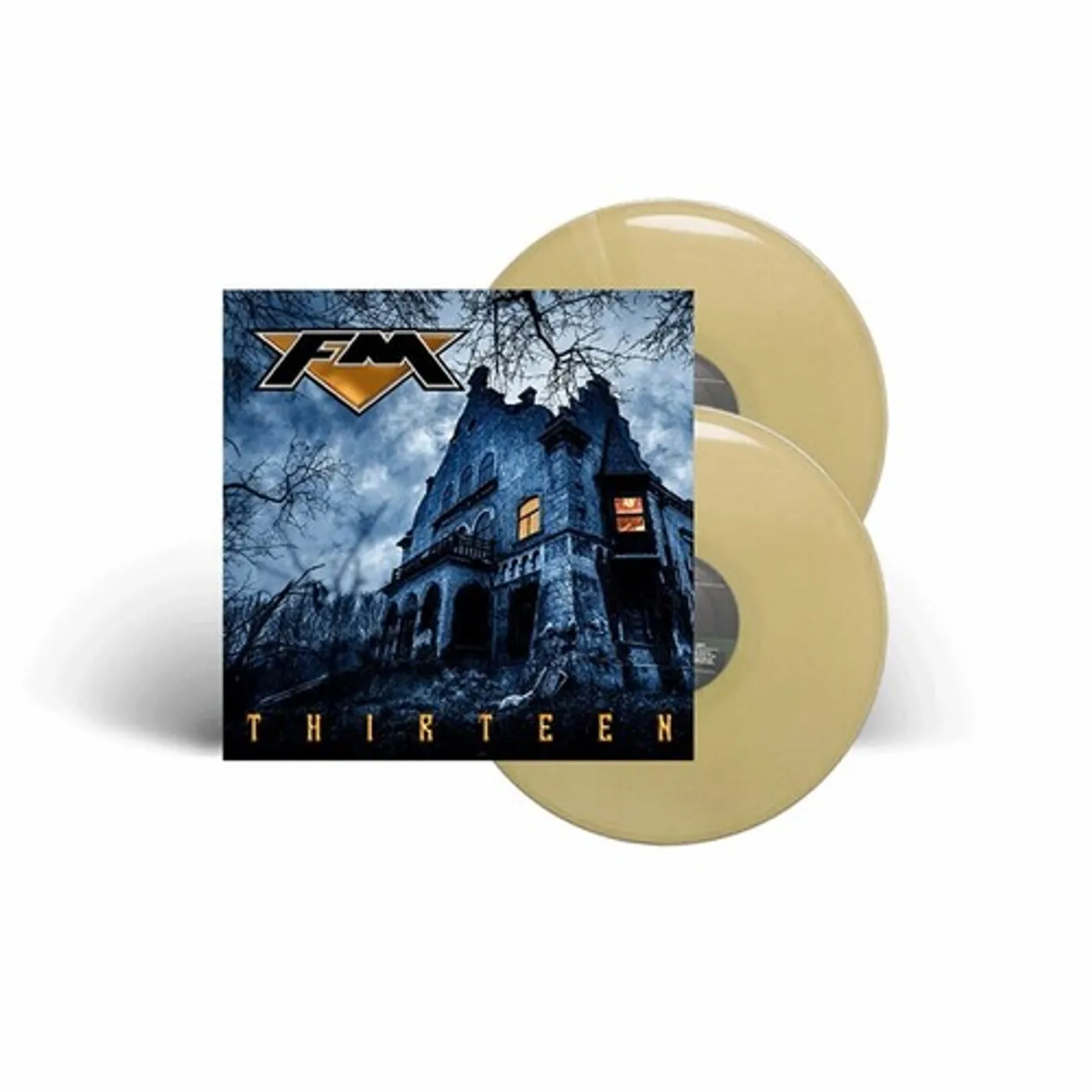 FM Thirteen Vinyl Record
