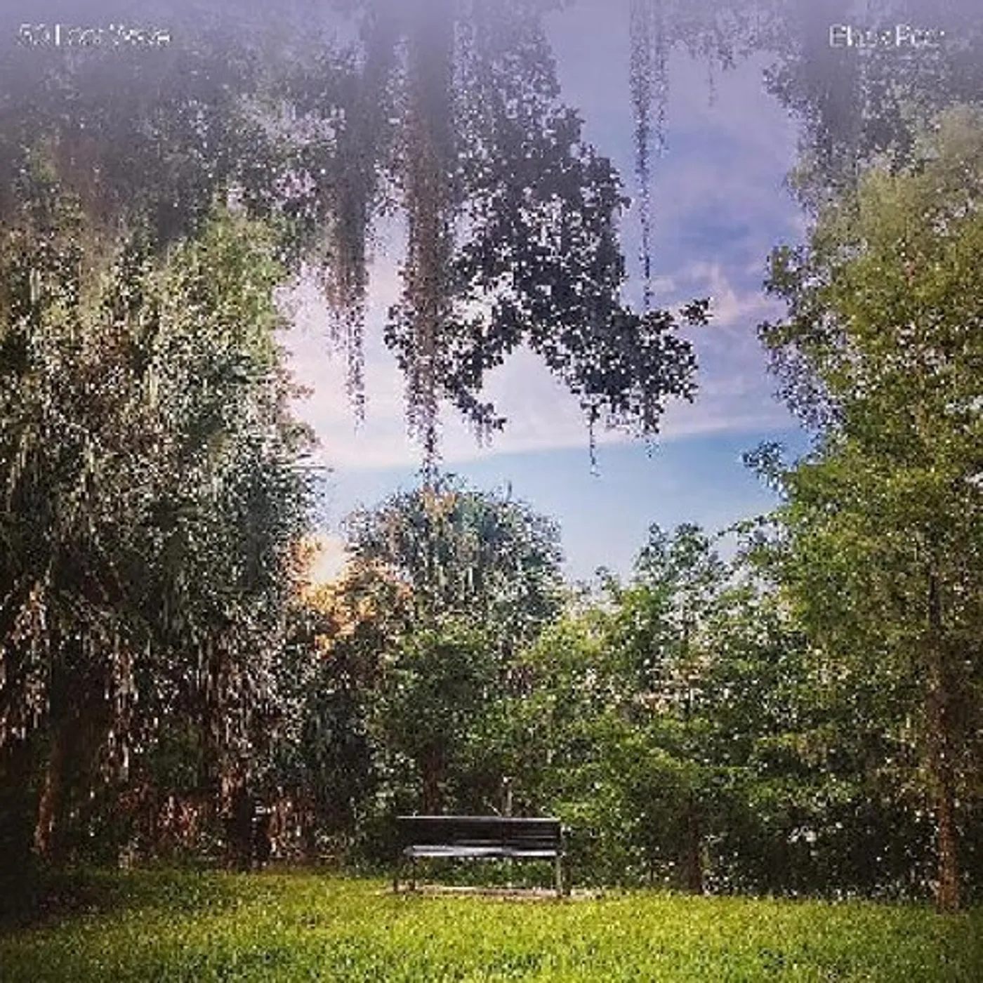 50 Foot Wave Black Pearl Vinyl Record