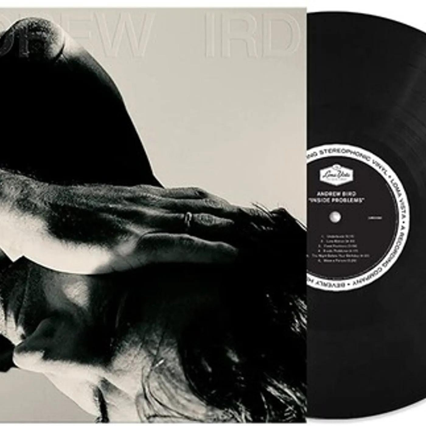 Andrew Bird Inside Problems Vinyl Record