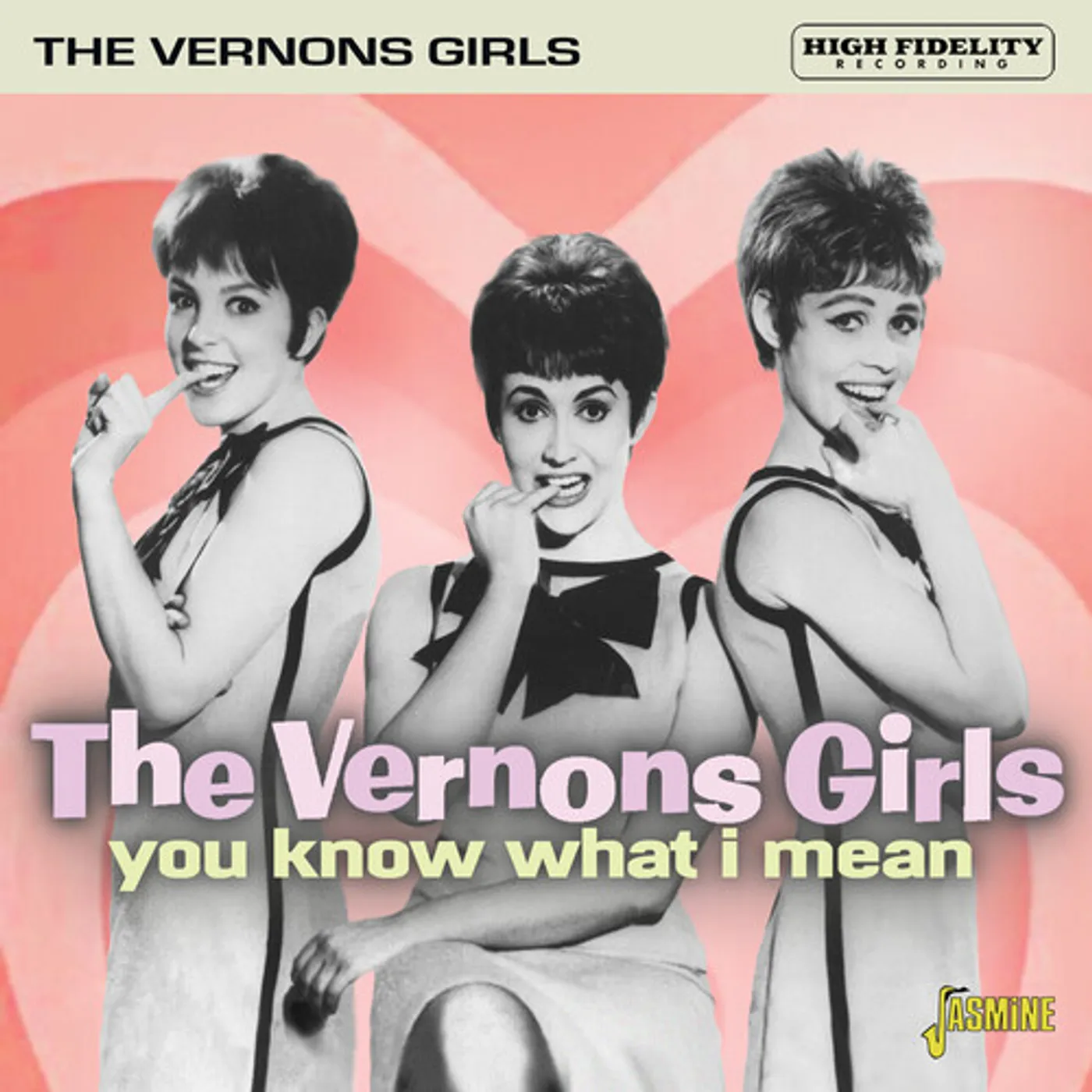 The Vernons Girls YOU KNOW WHAT I MEAN CD