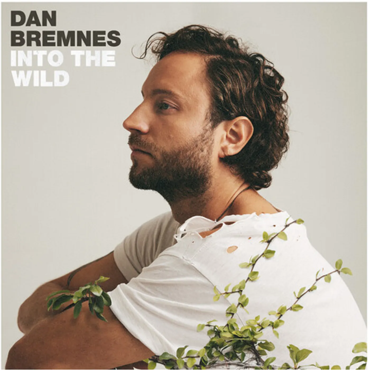 Dan Bremnes INTO THE WILD CD