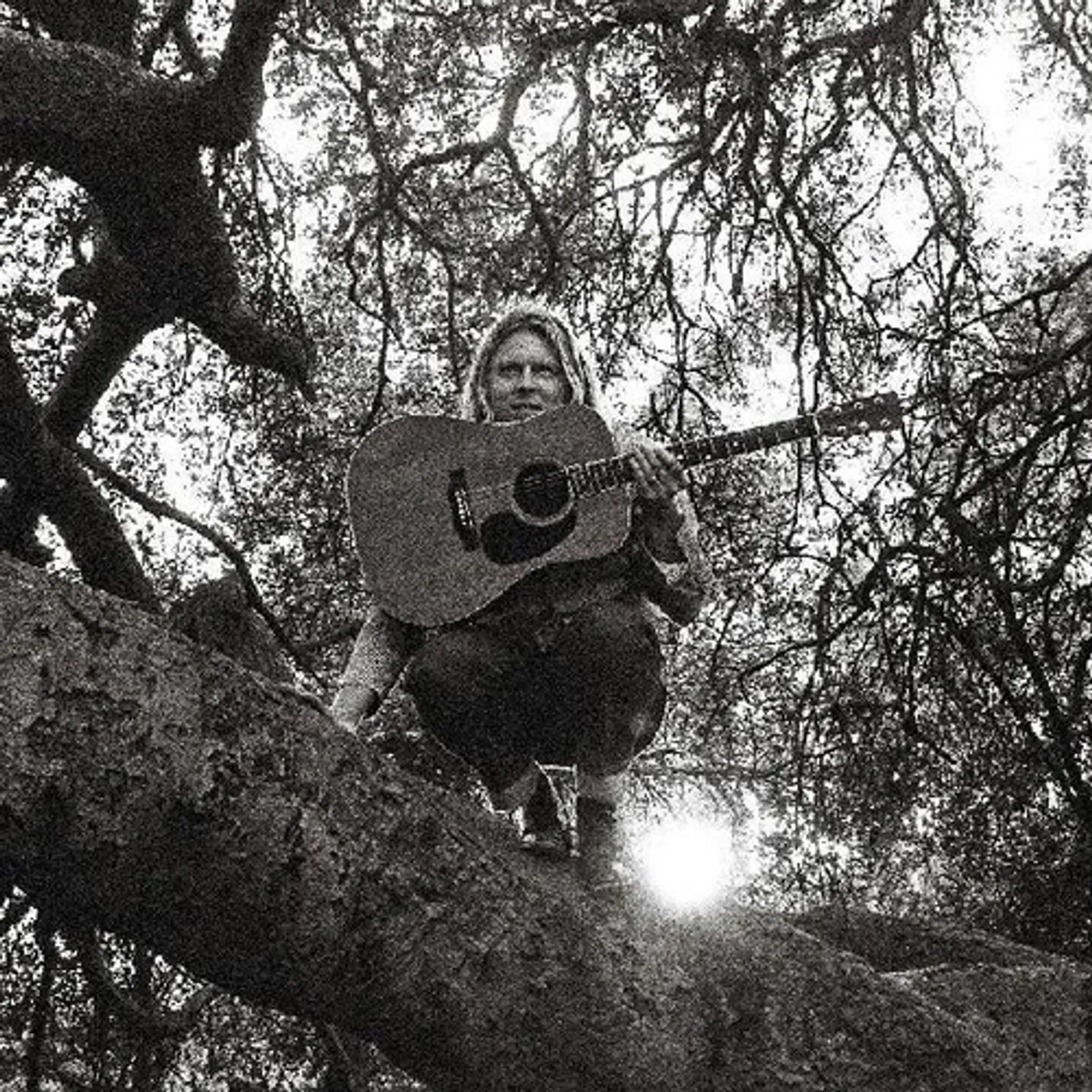 Ty Segall "Hello, Hi" (Vinyl)