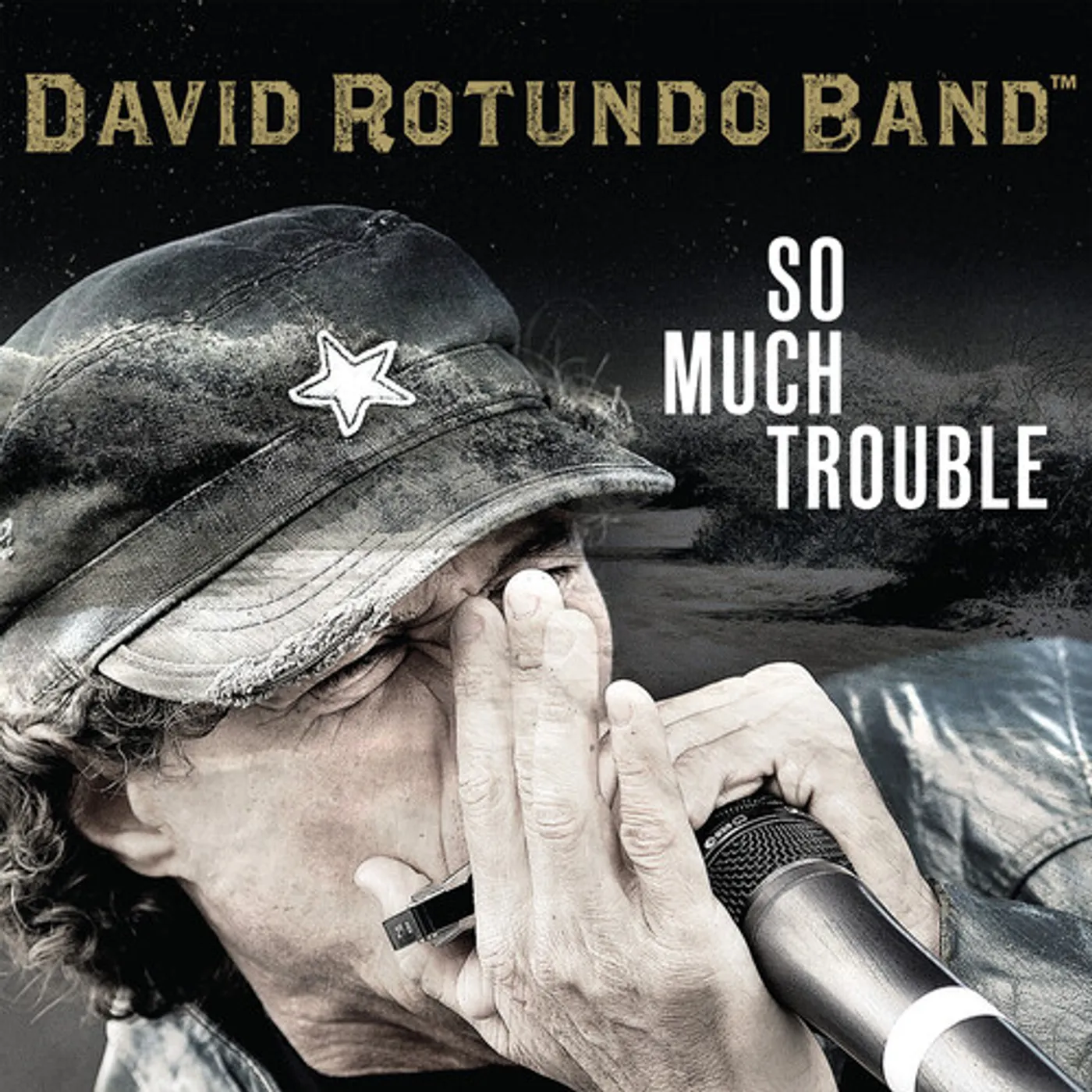 David Rotundo SO MUCH TROUBLE CD