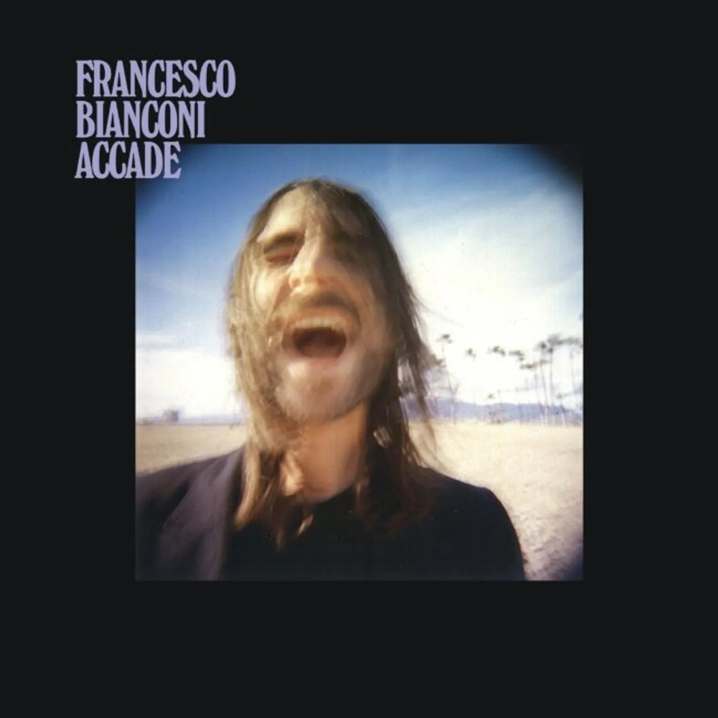 Francesco Bianconi Accade Vinyl Record