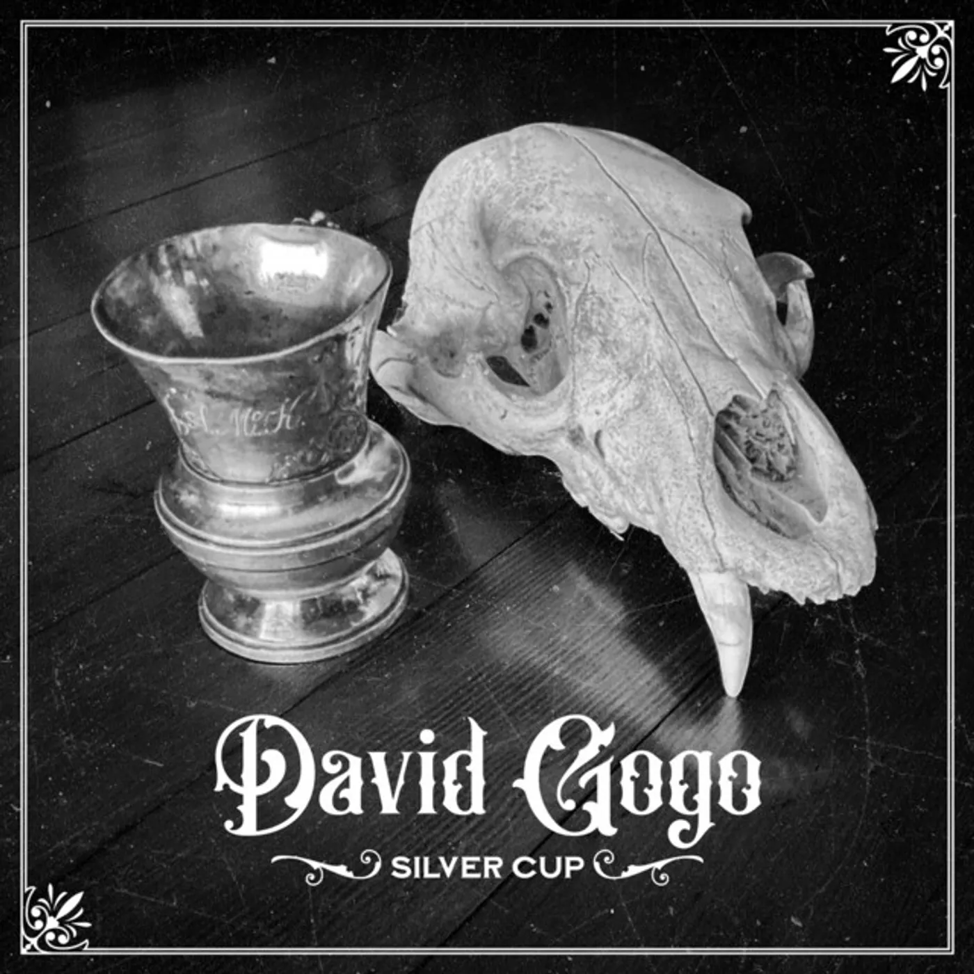 David Gogo Silver Cup Vinyl Record