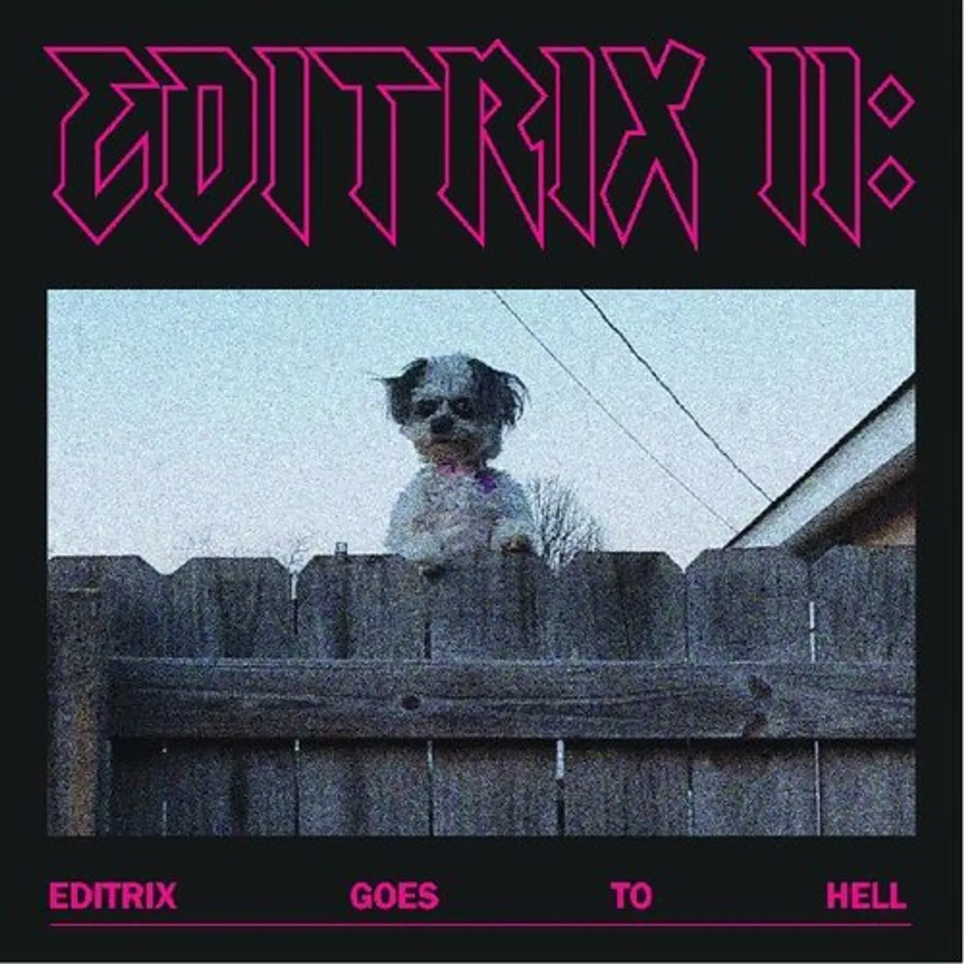 Editrix II: EDITRIX GOES TO HELL Vinyl Record