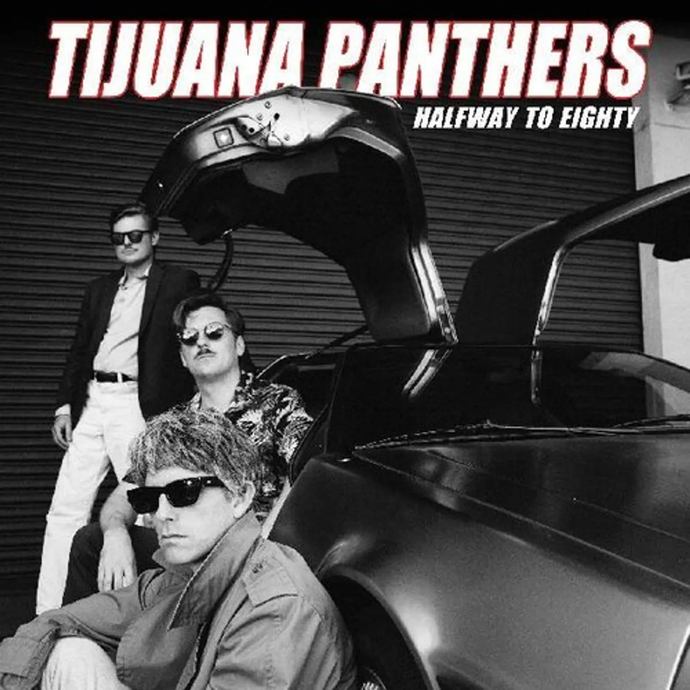 Tijuana Panthers Halfway to Eighty Vinyl Record