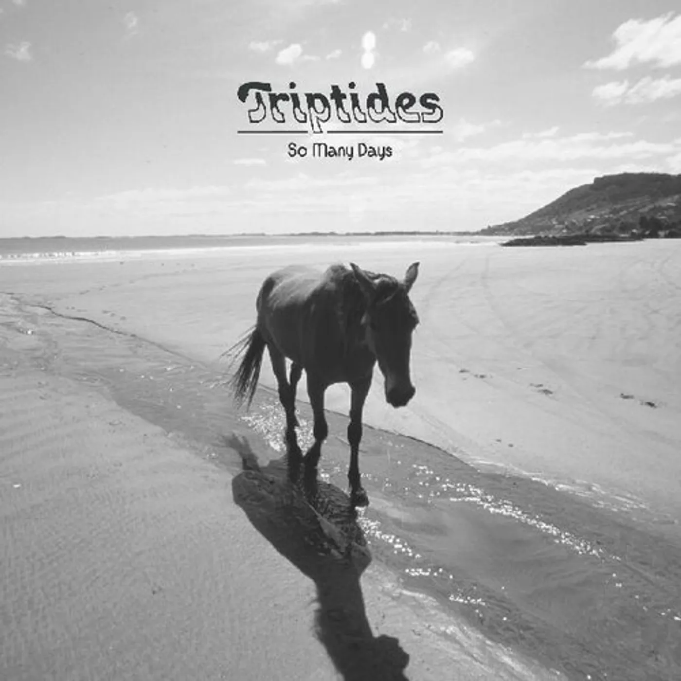 Triptides So Many Days Vinyl Record