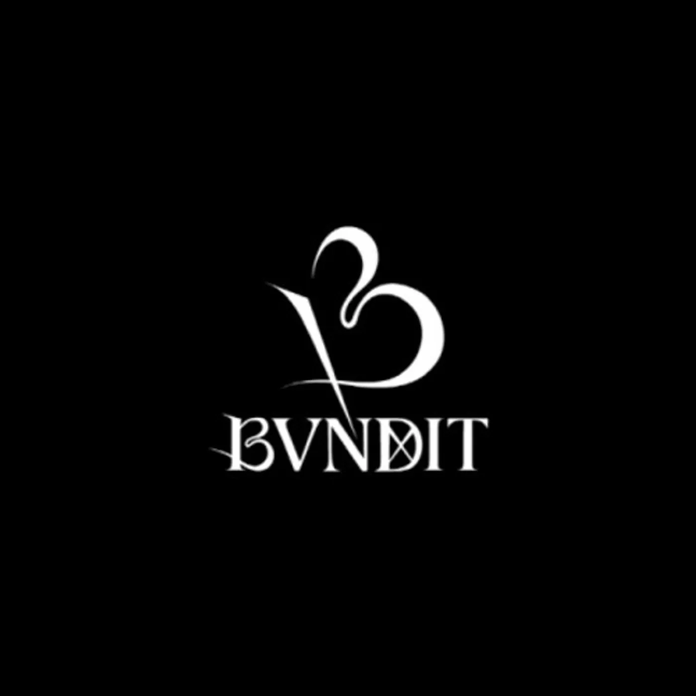 BVNDIT RE-ORIGINAL CD
