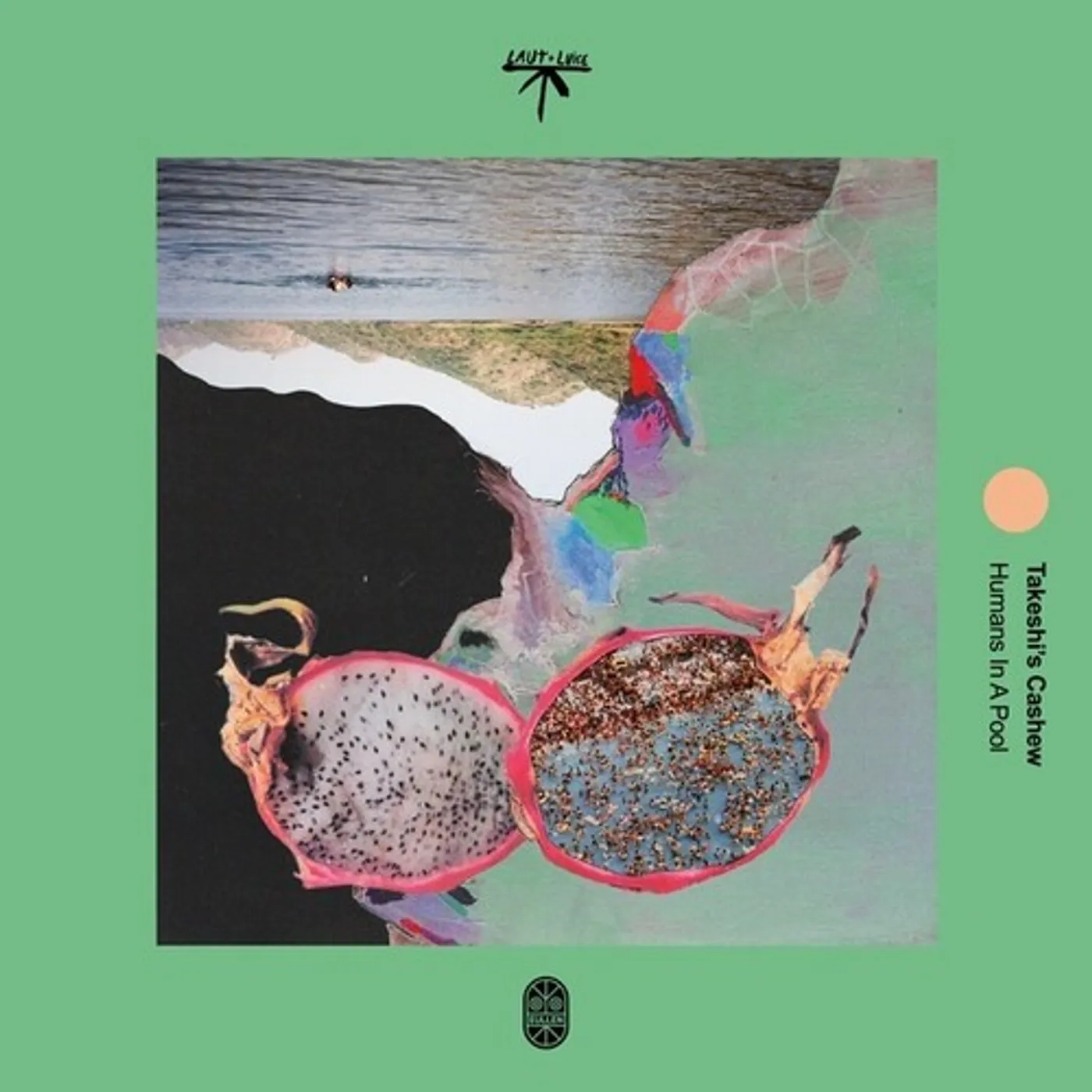 Takeshi's Cashew Humans In A Pool Vinyl Record