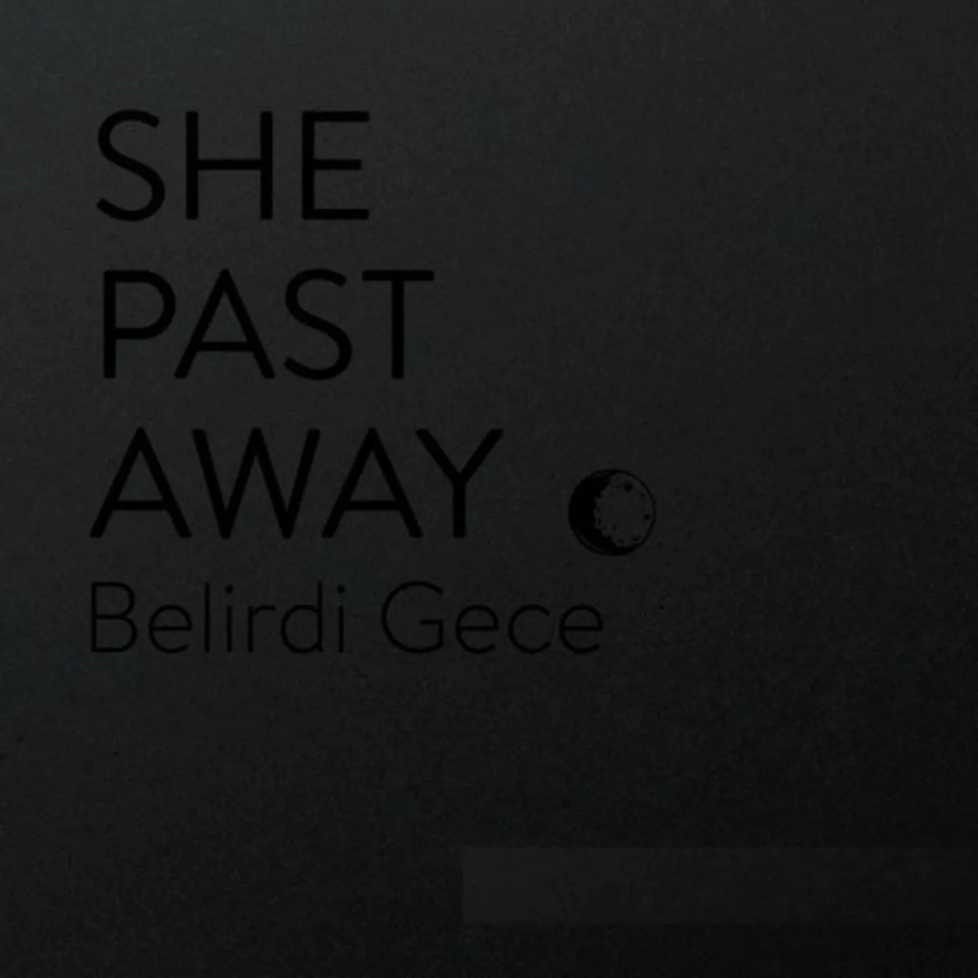 She Past Away Belirdi Gece Vinyl Record