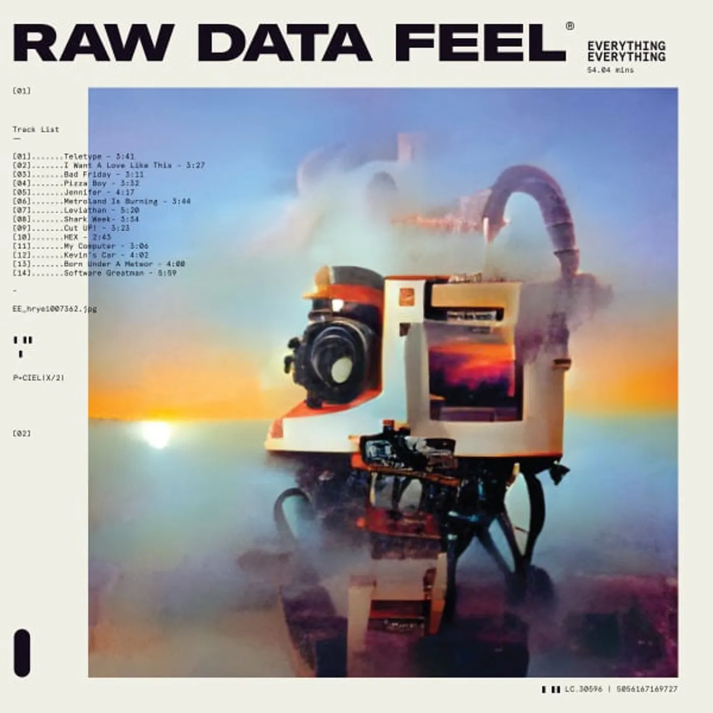Everything Everything Raw Data Feel Vinyl Record