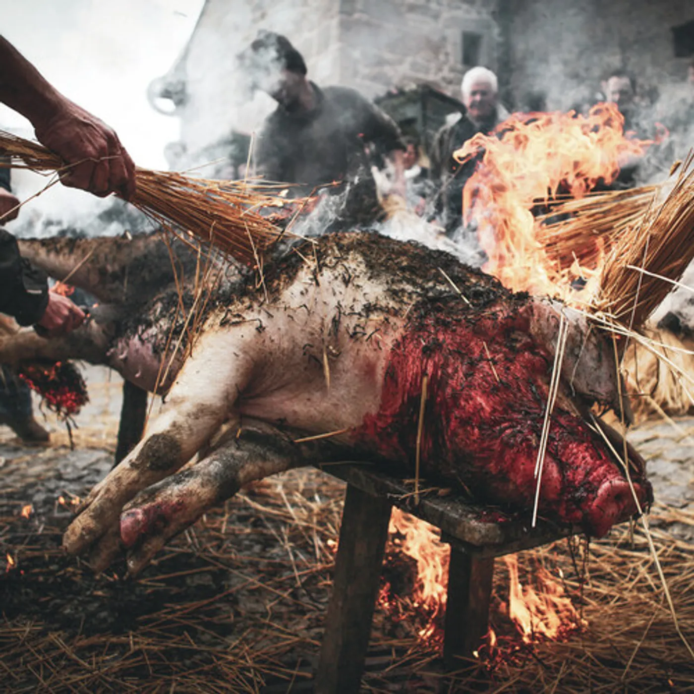 Holocausto Canibal CRUEZA FERINA CD