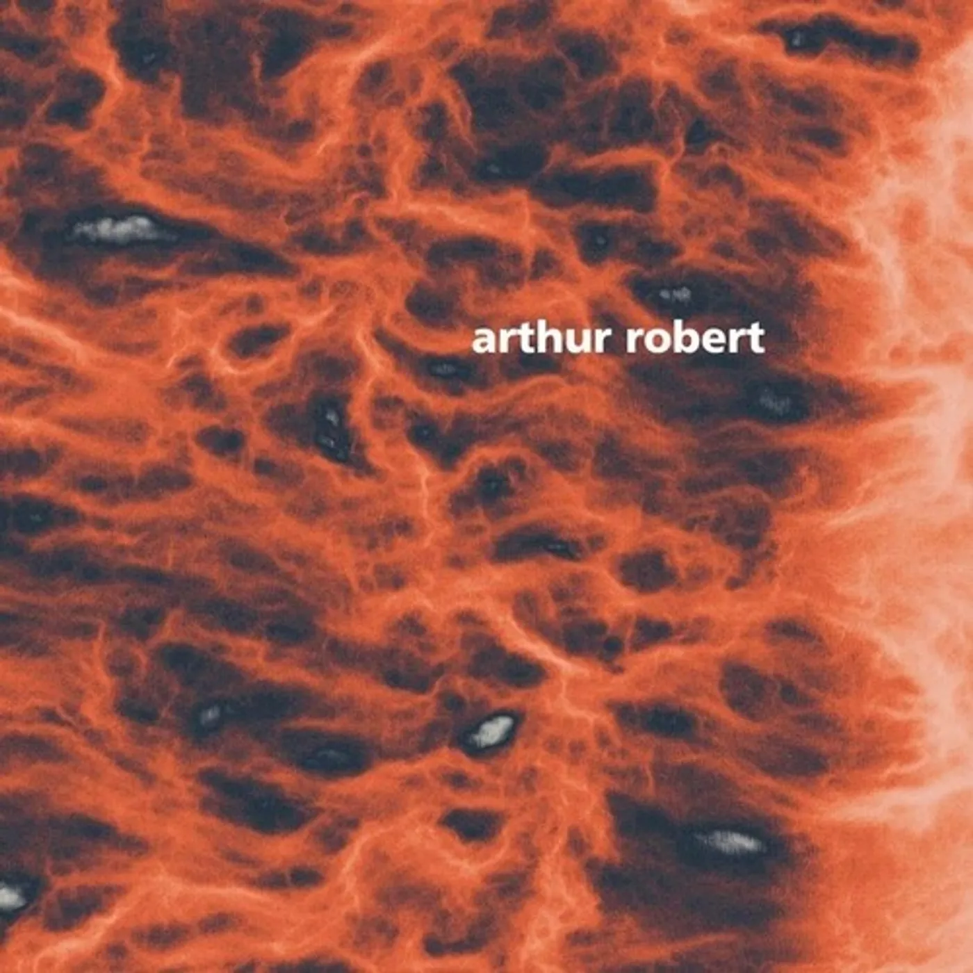 Arthur Robert Metamorphosis Part 2 Vinyl Record