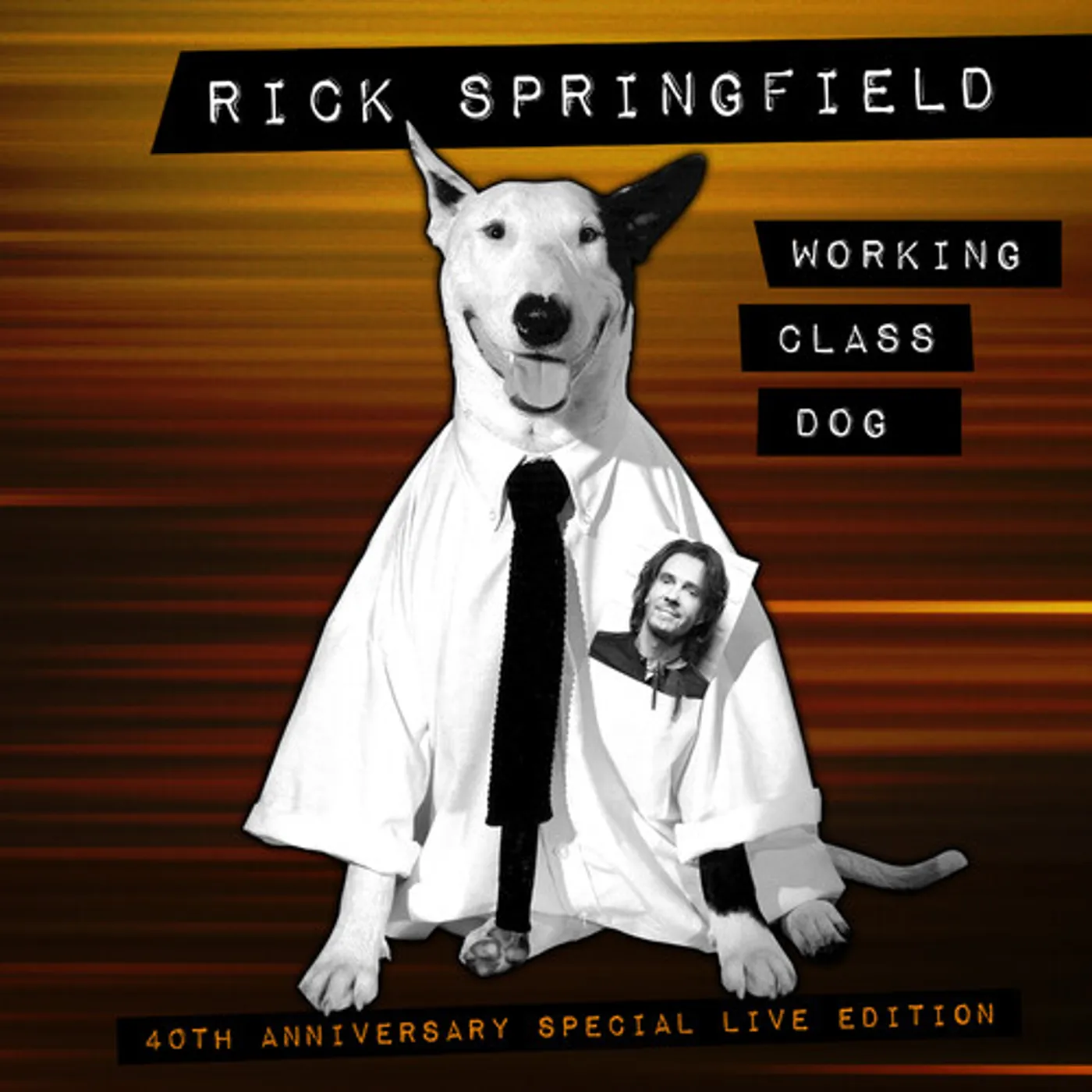 Rick Springfield WORKING CLASS DOG - 40TH ANNIV. SPECIAL LIVE ED. CD