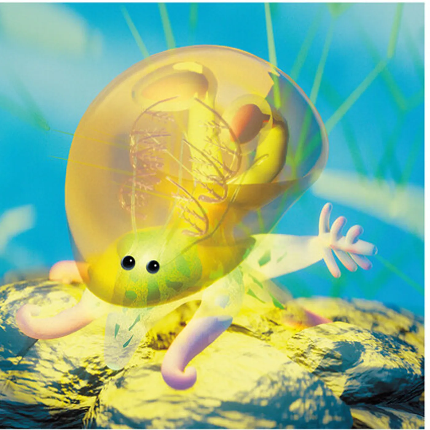 7FO RAN - BOUTEN Vinyl Record