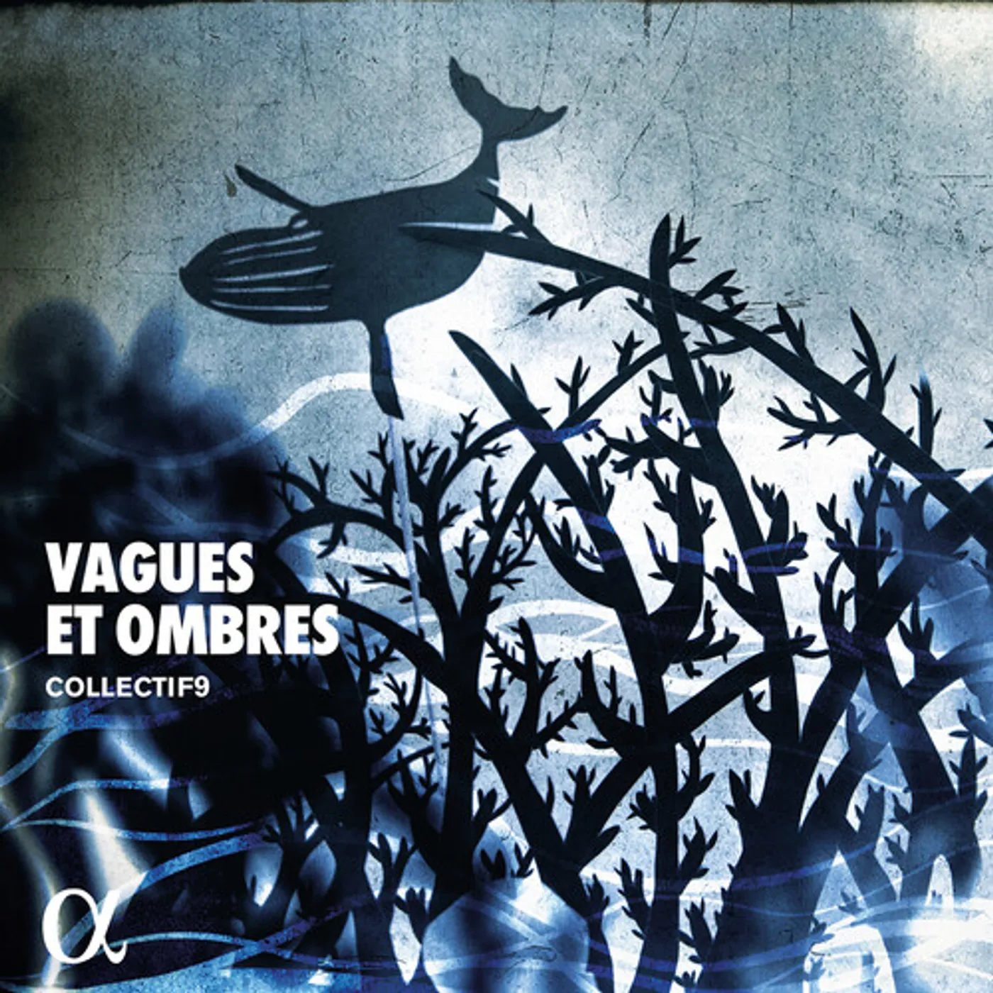 Debussy VAGUES ET OMB CD