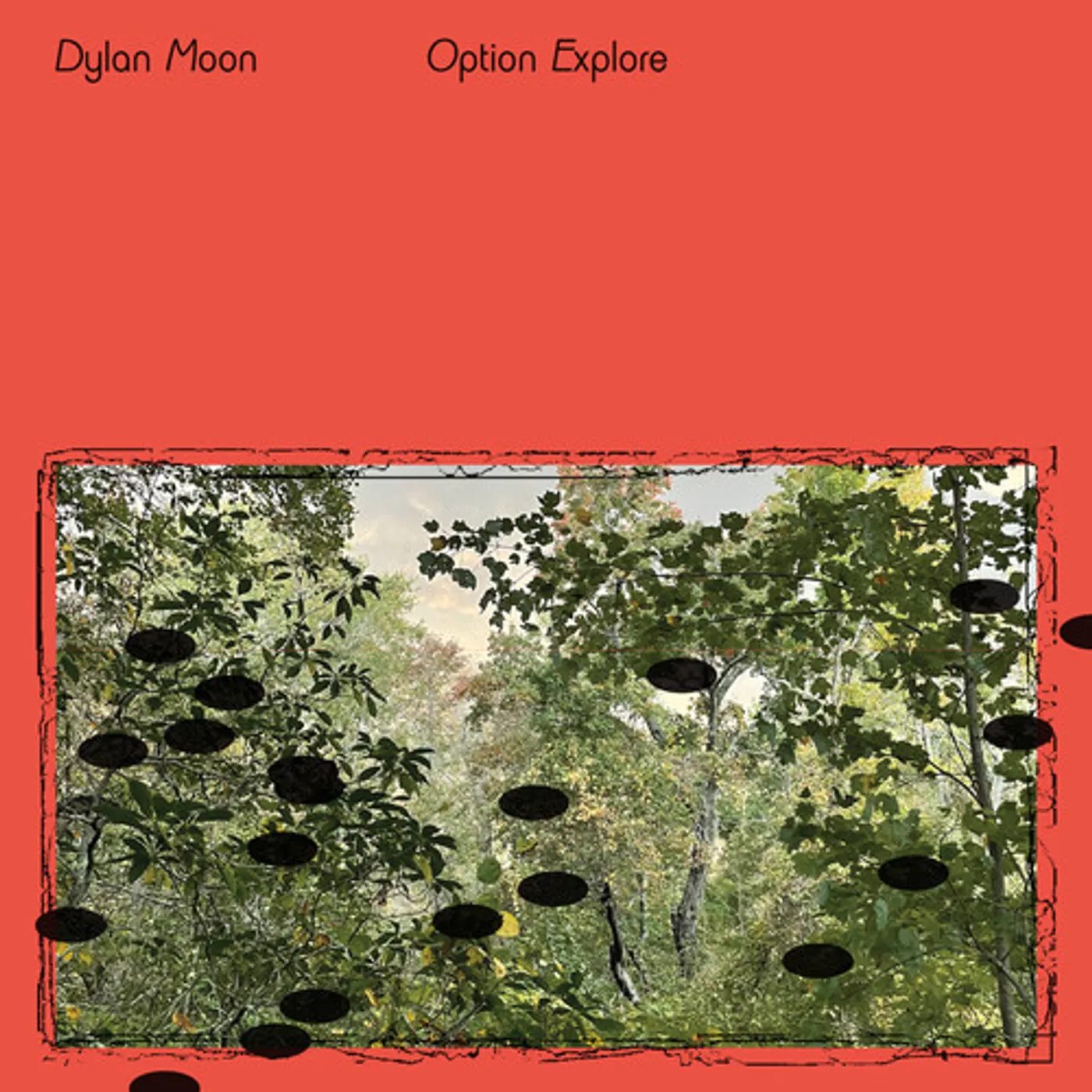 Dylan Moon OPTION EXPLORE CD