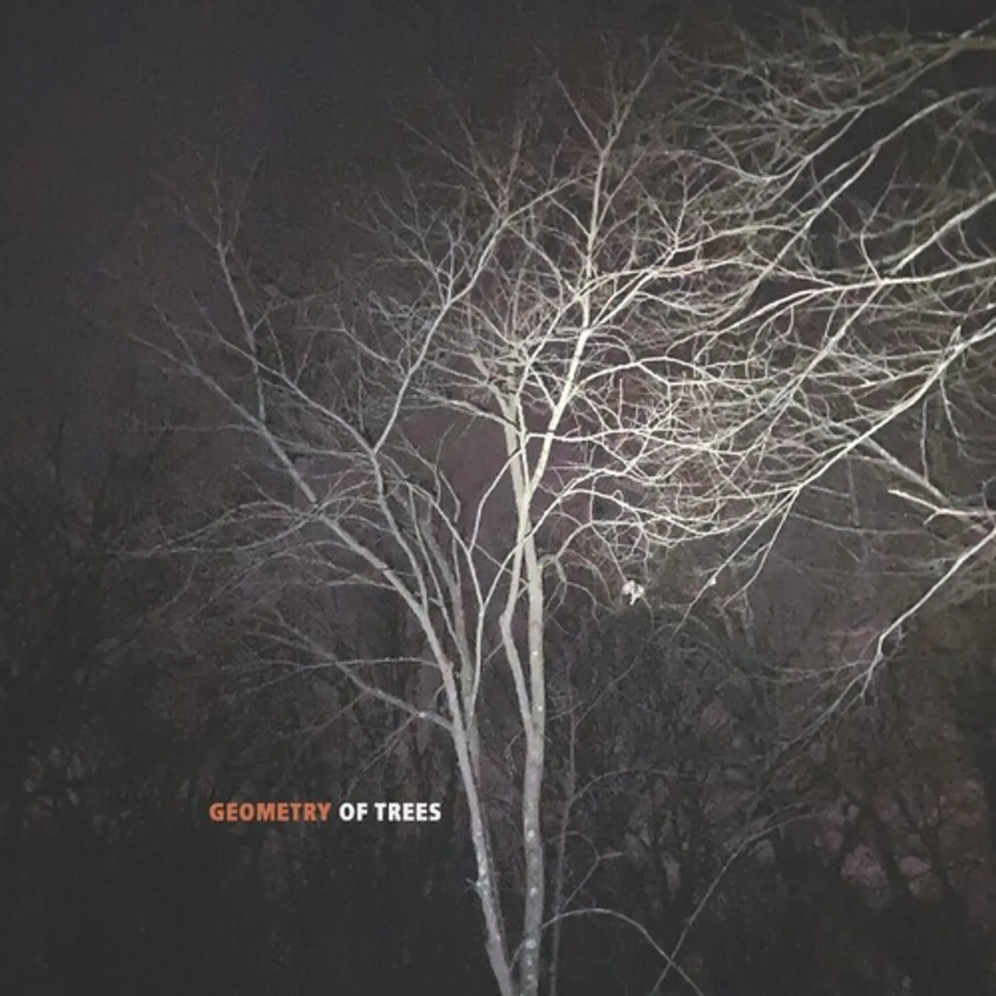 Tomeka Reid GEOMETRY OF TREES CD