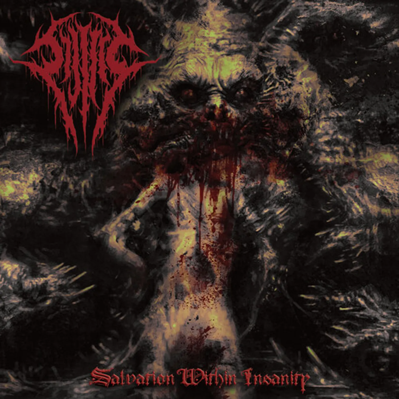 Sijjeel SALVATION WITHIN INSANITY CD
