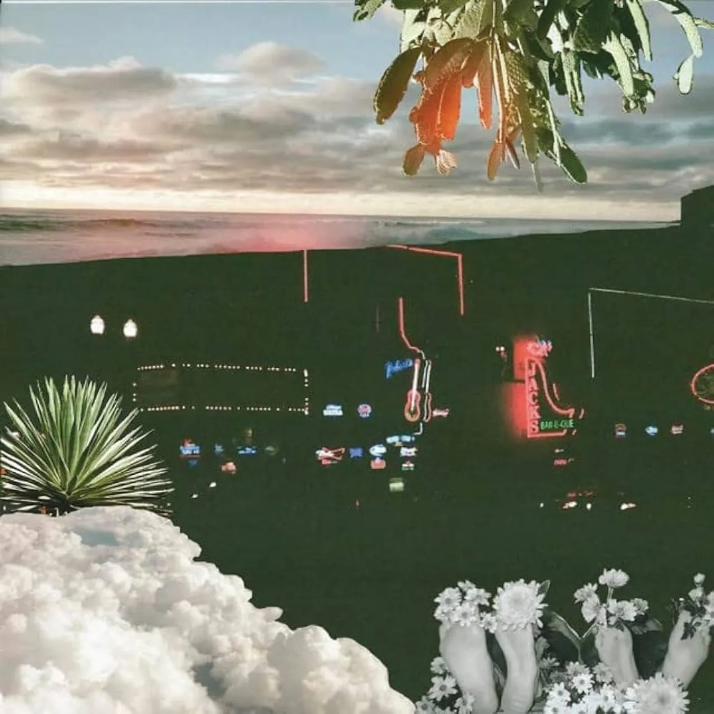 HOT SECOND WITH THE VELVETEINS Vinyl Record